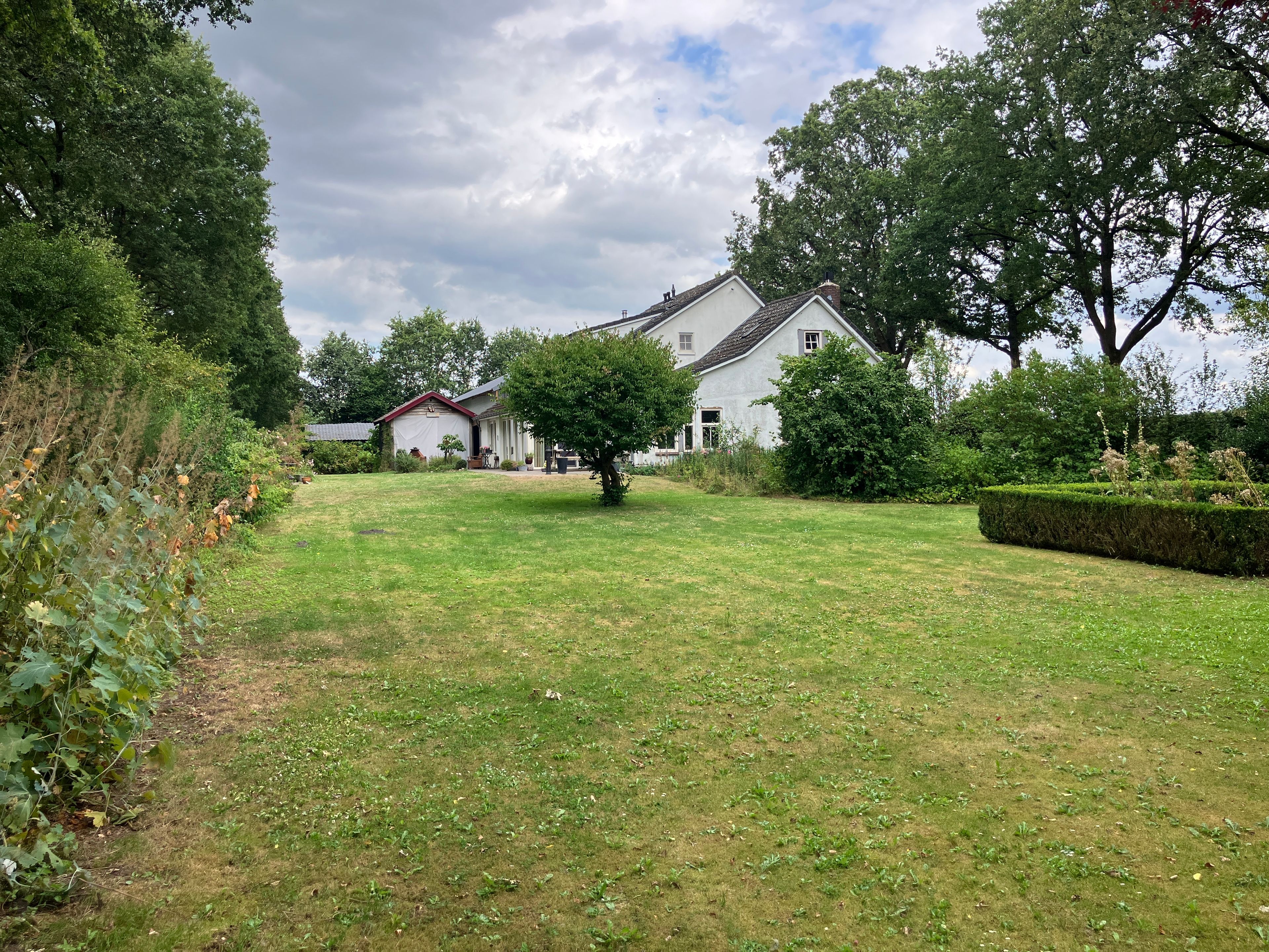 image-8