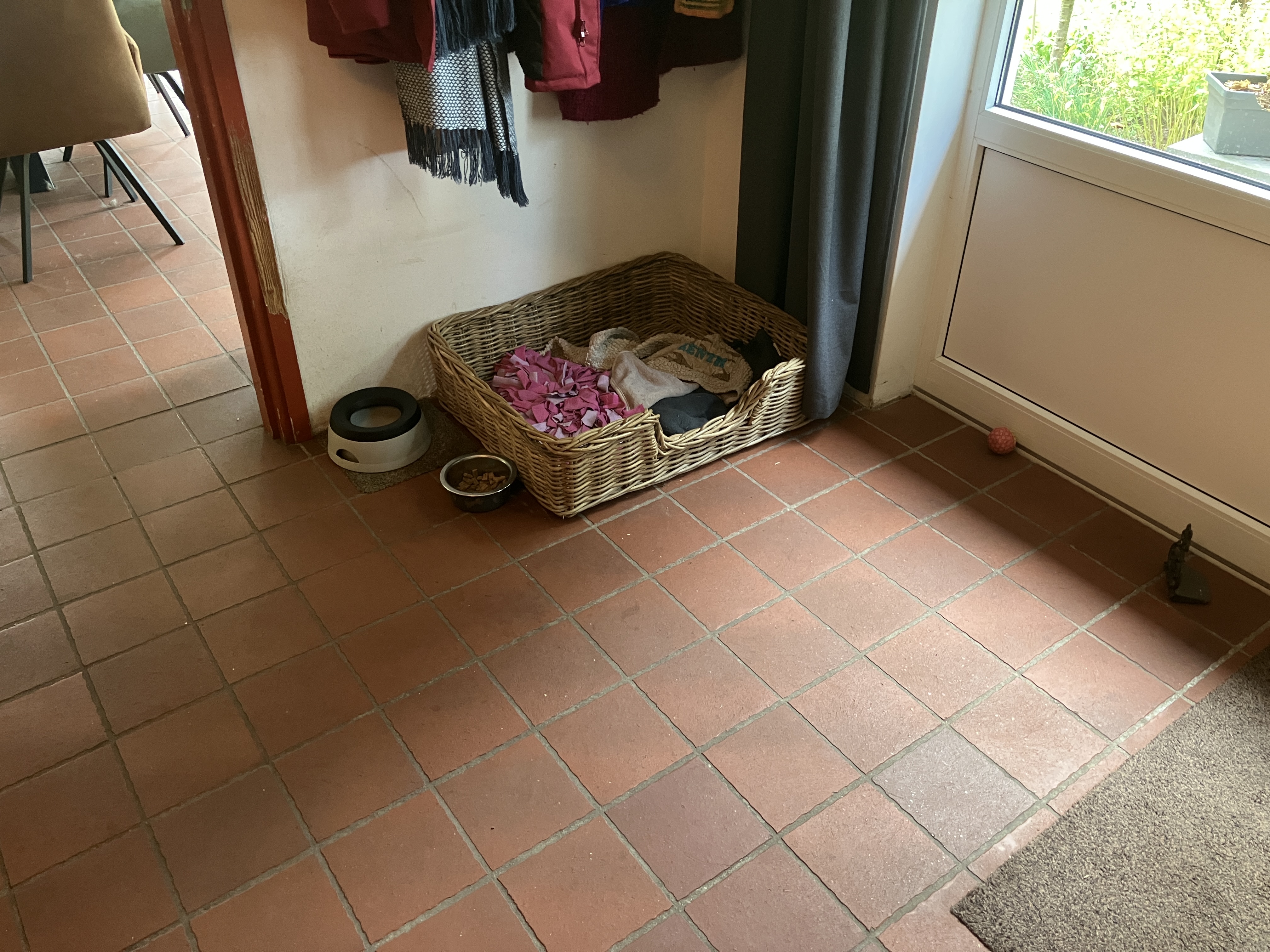 image-19