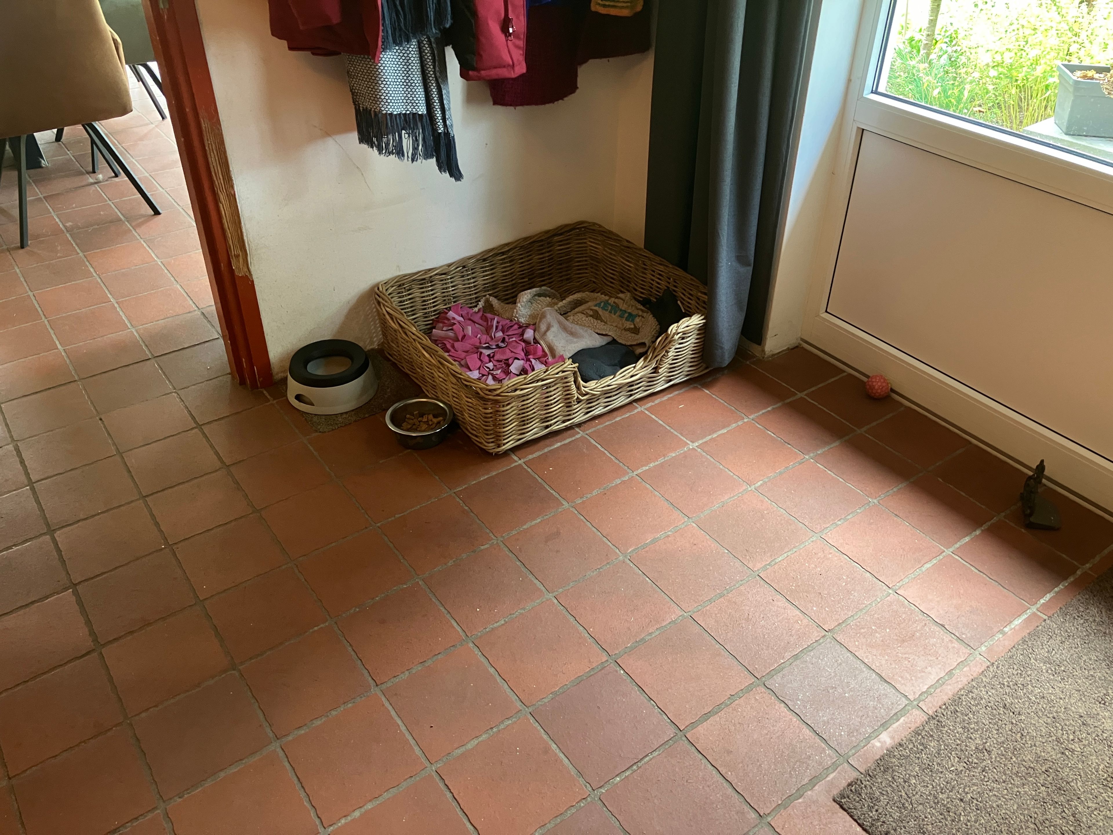 image-19