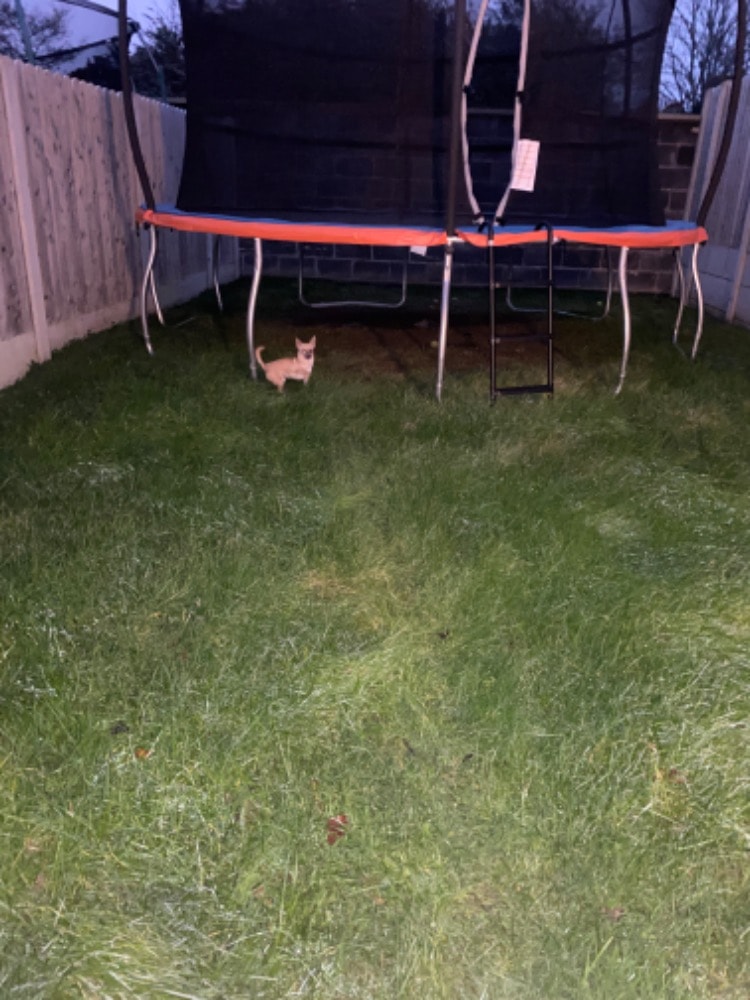 image-4
