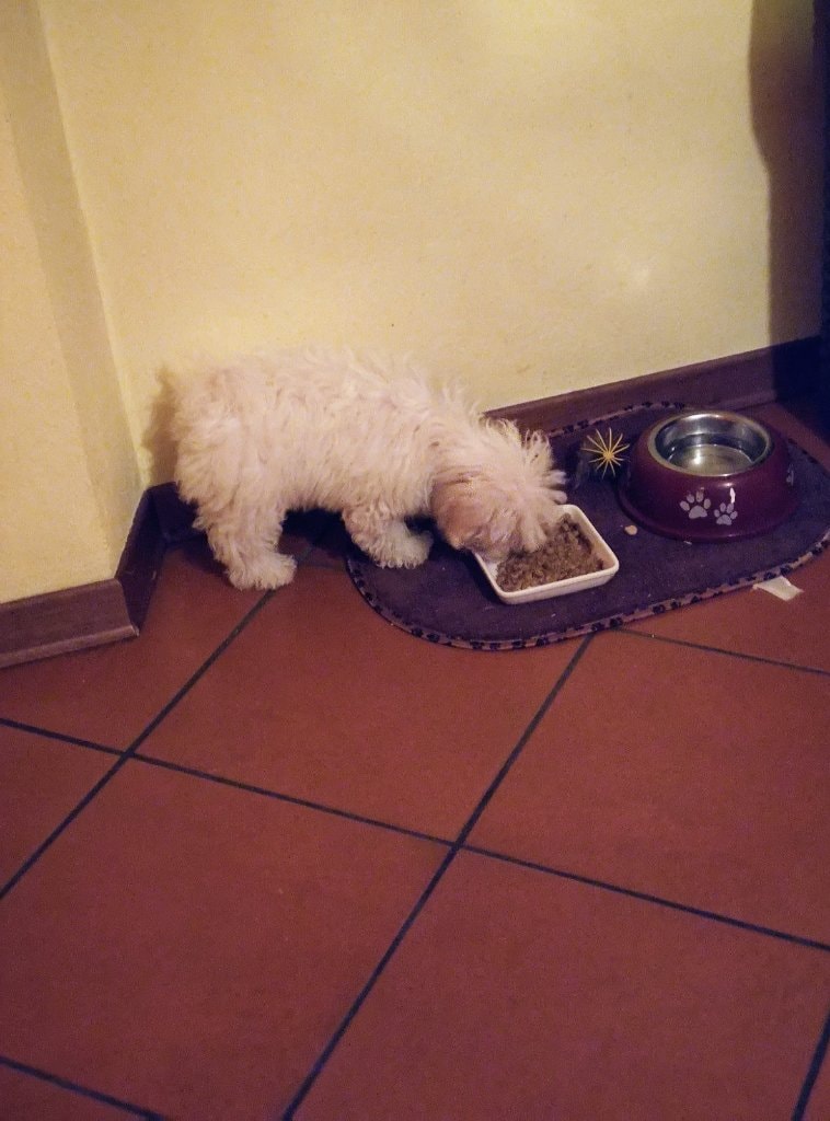 image-16