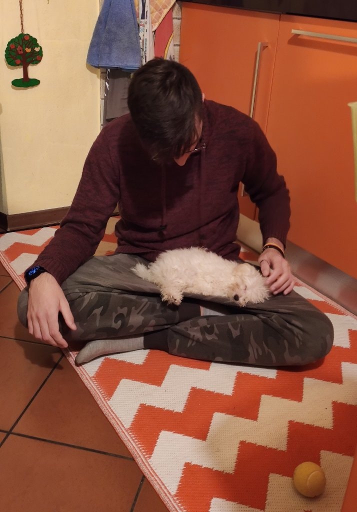 image-12