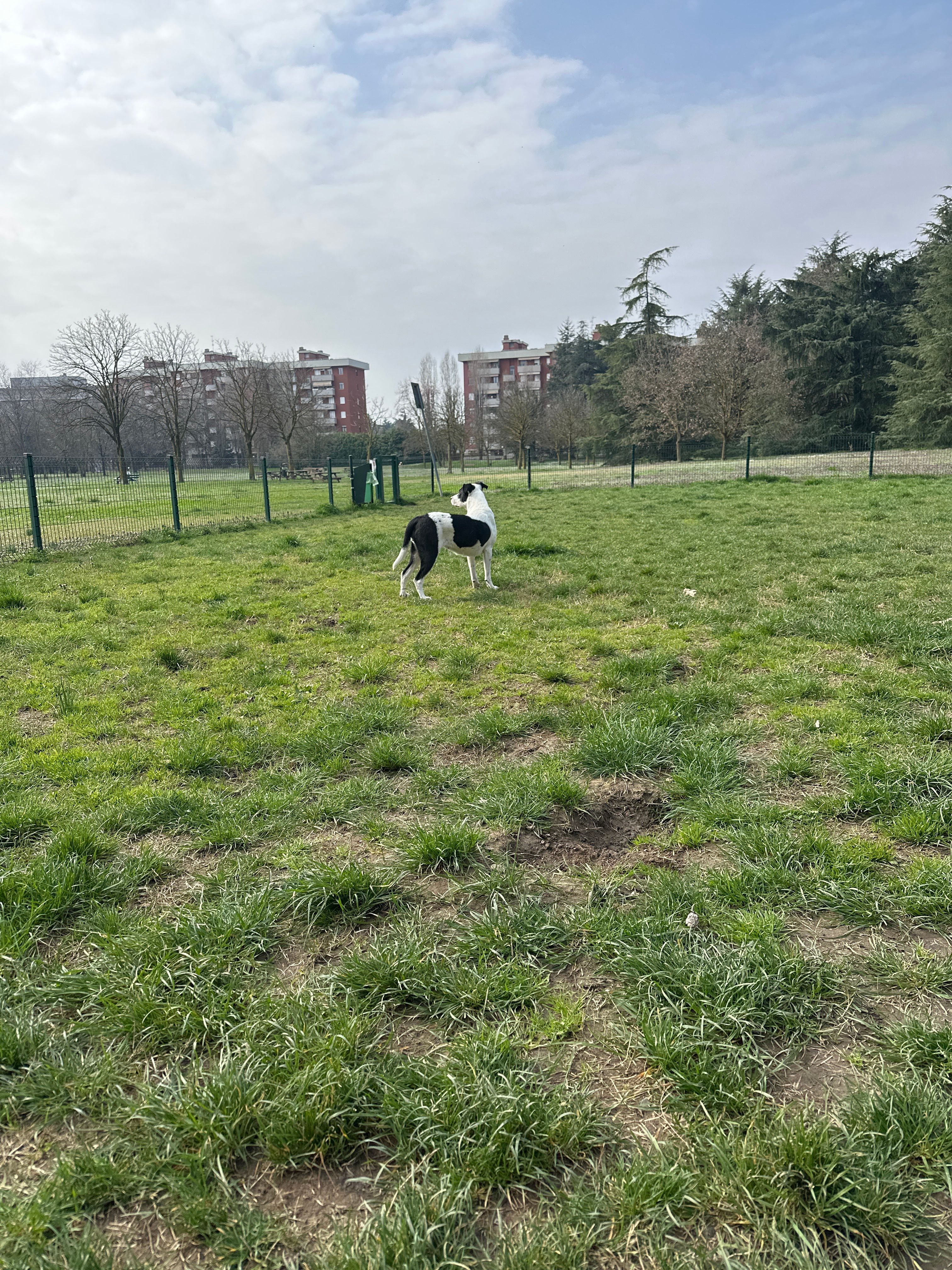 image-16