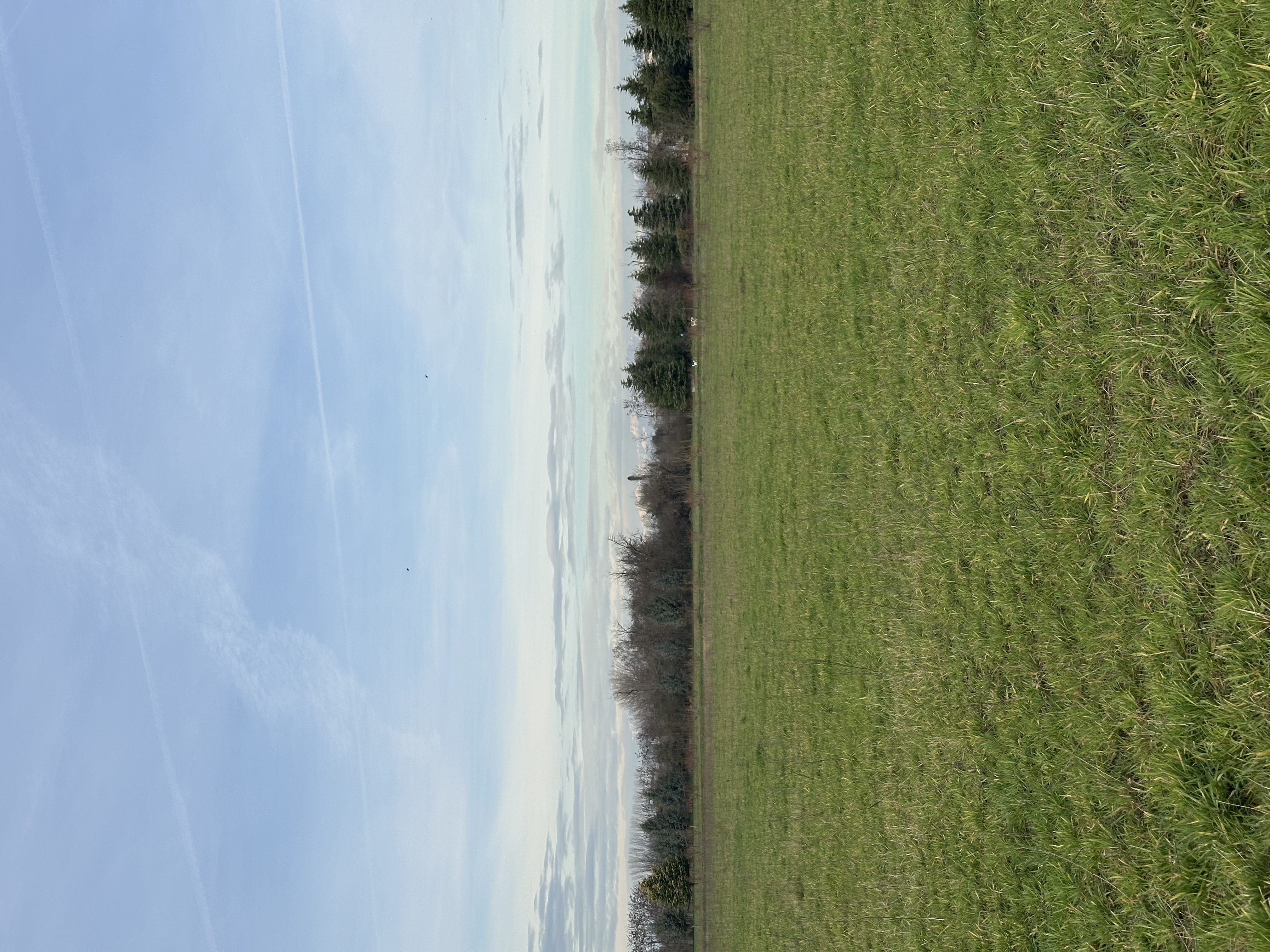 image-20