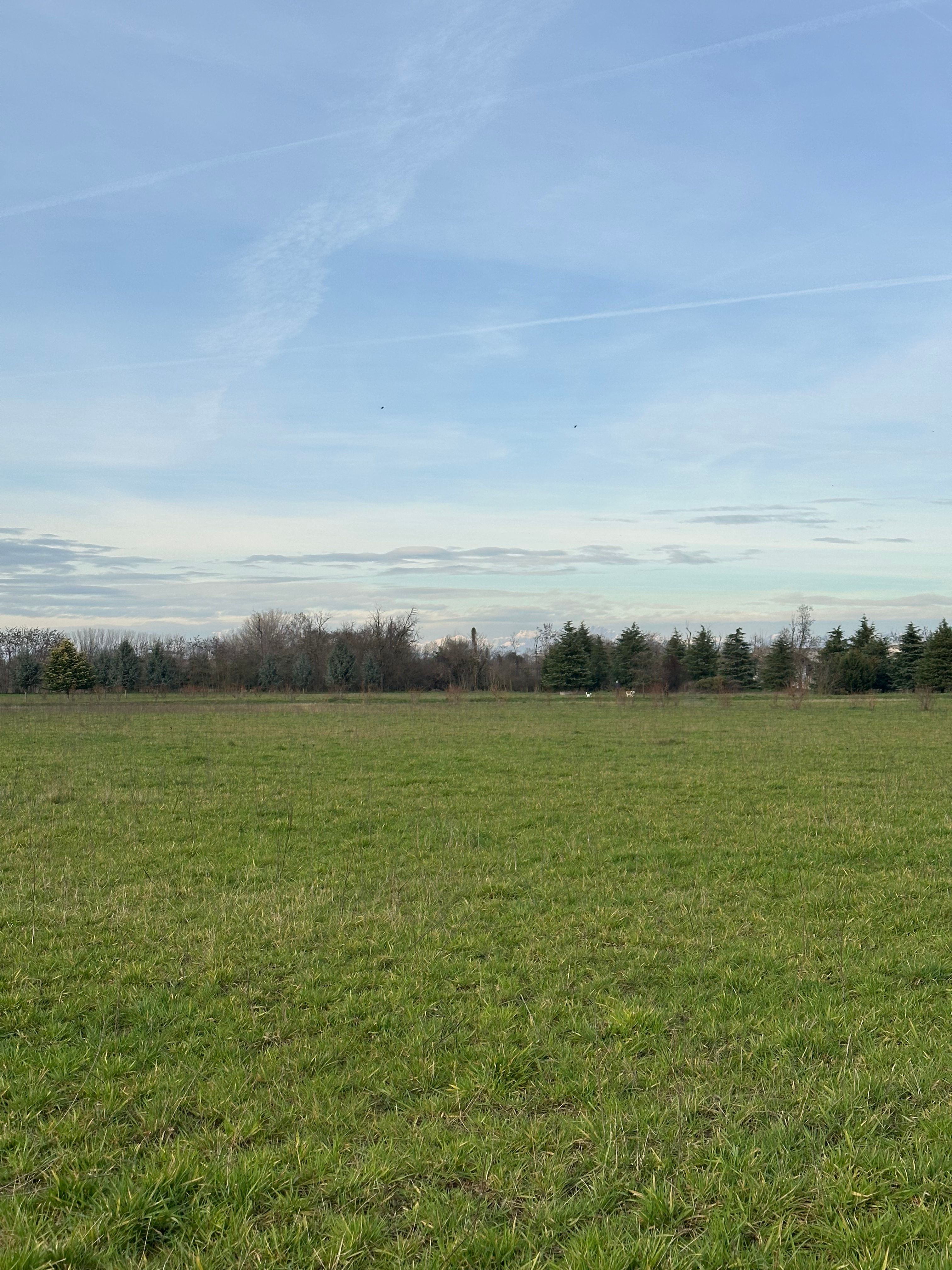 image-20