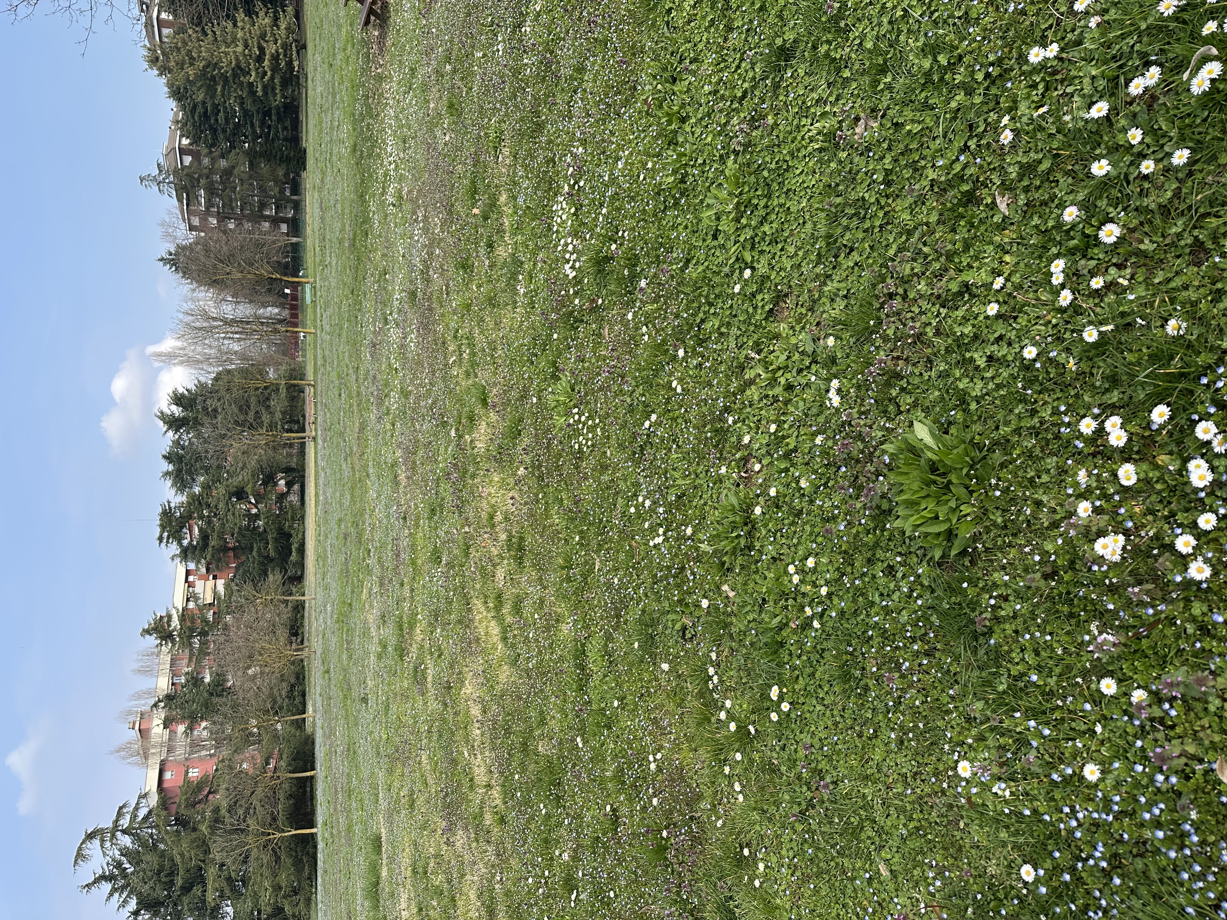 image-18