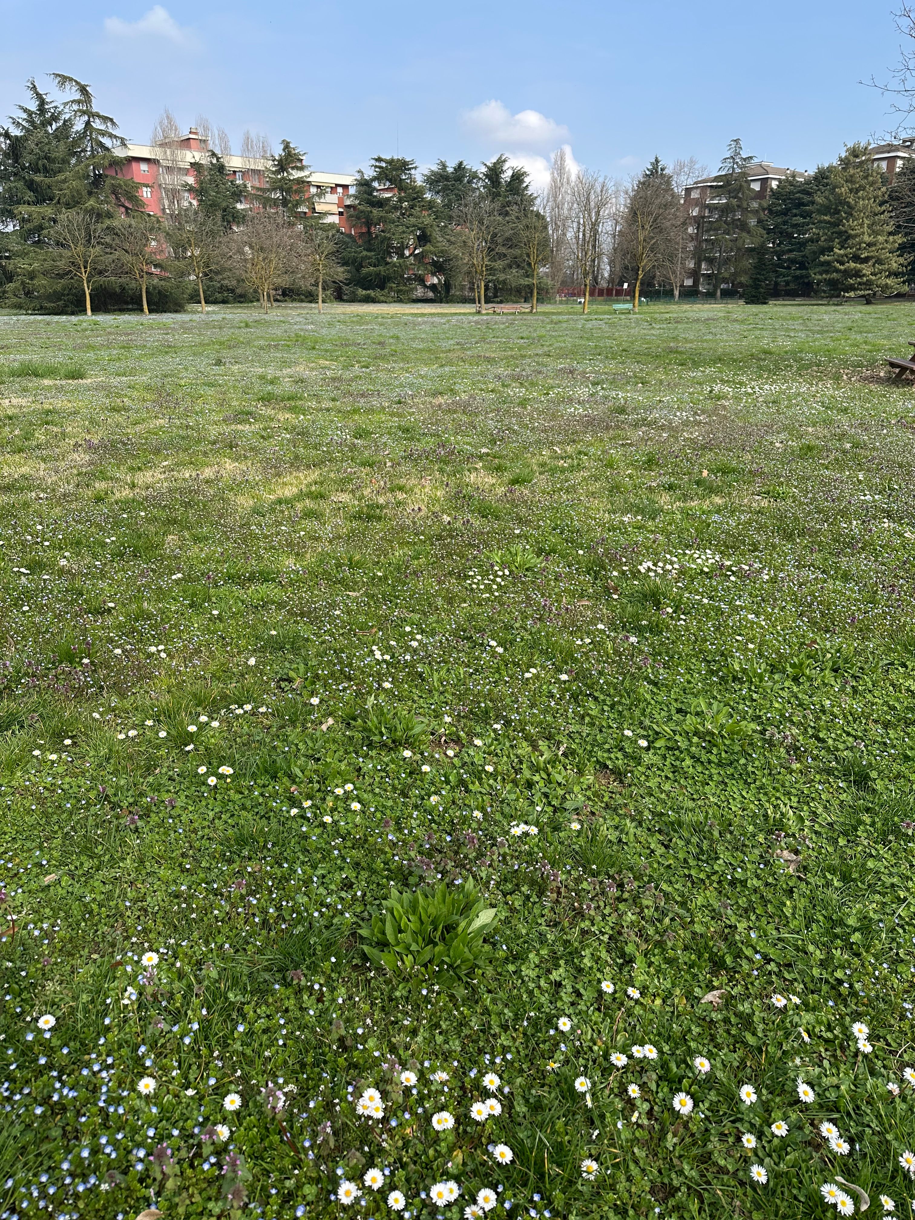 image-18