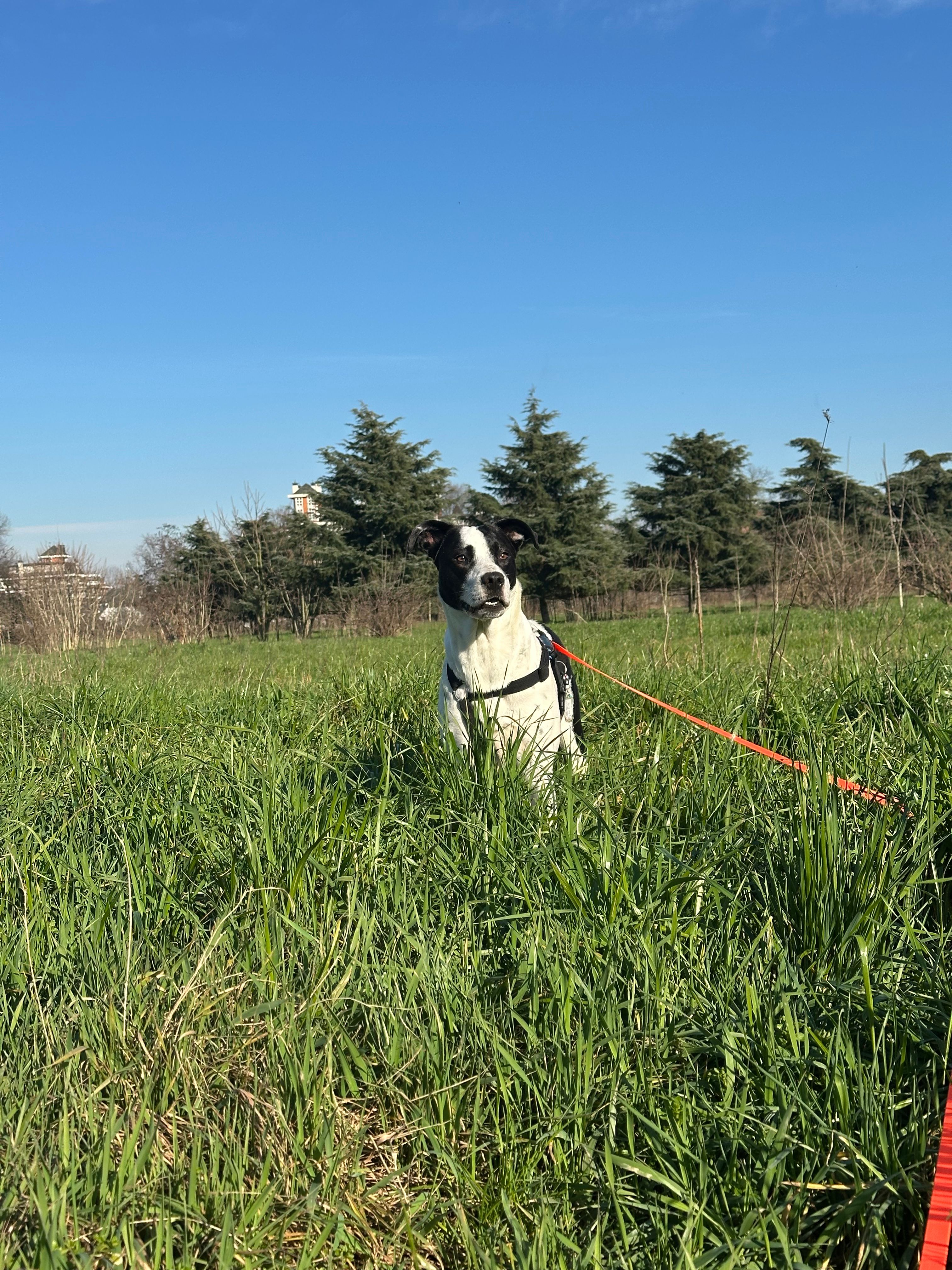 image-17