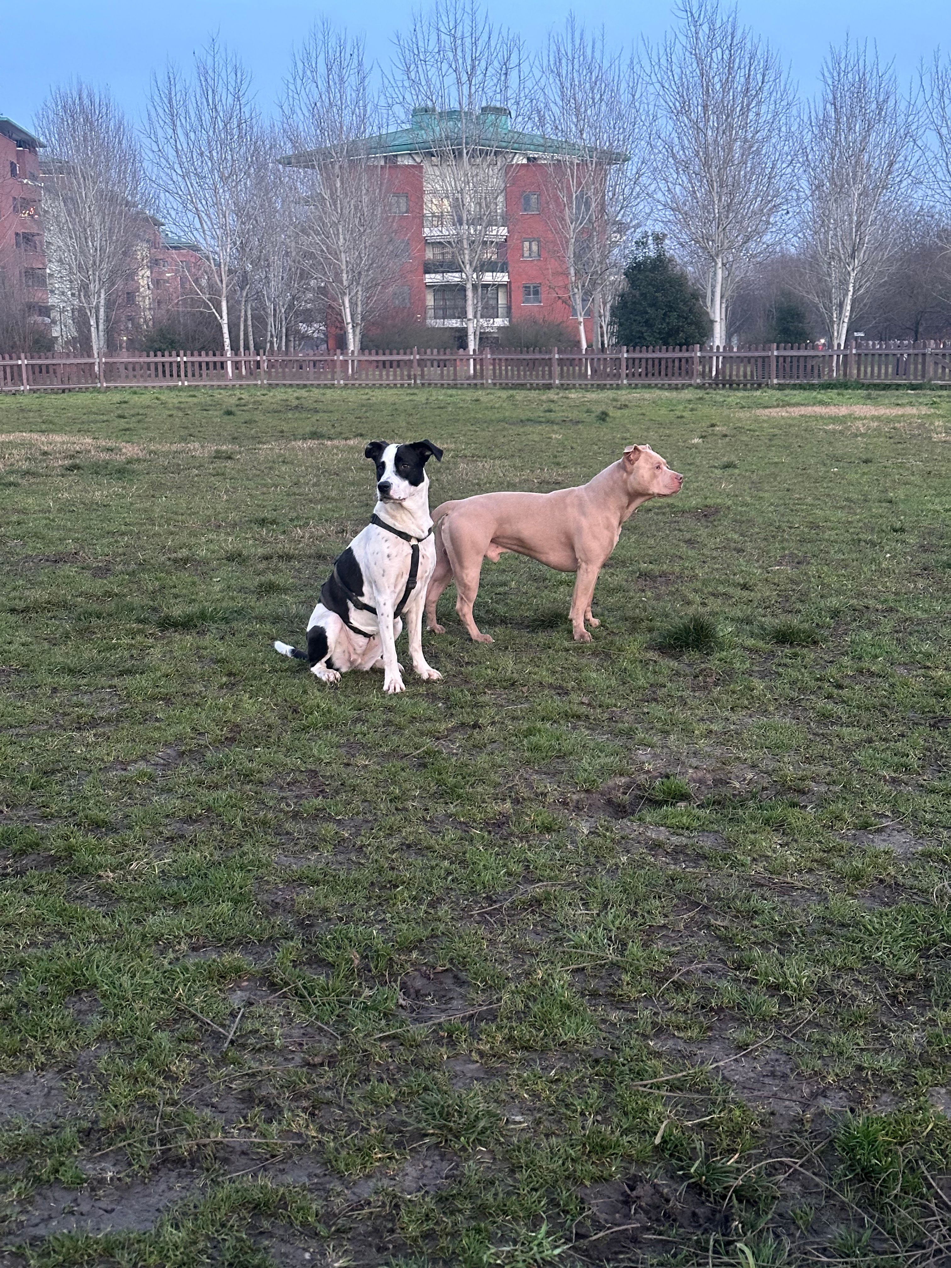 image-7