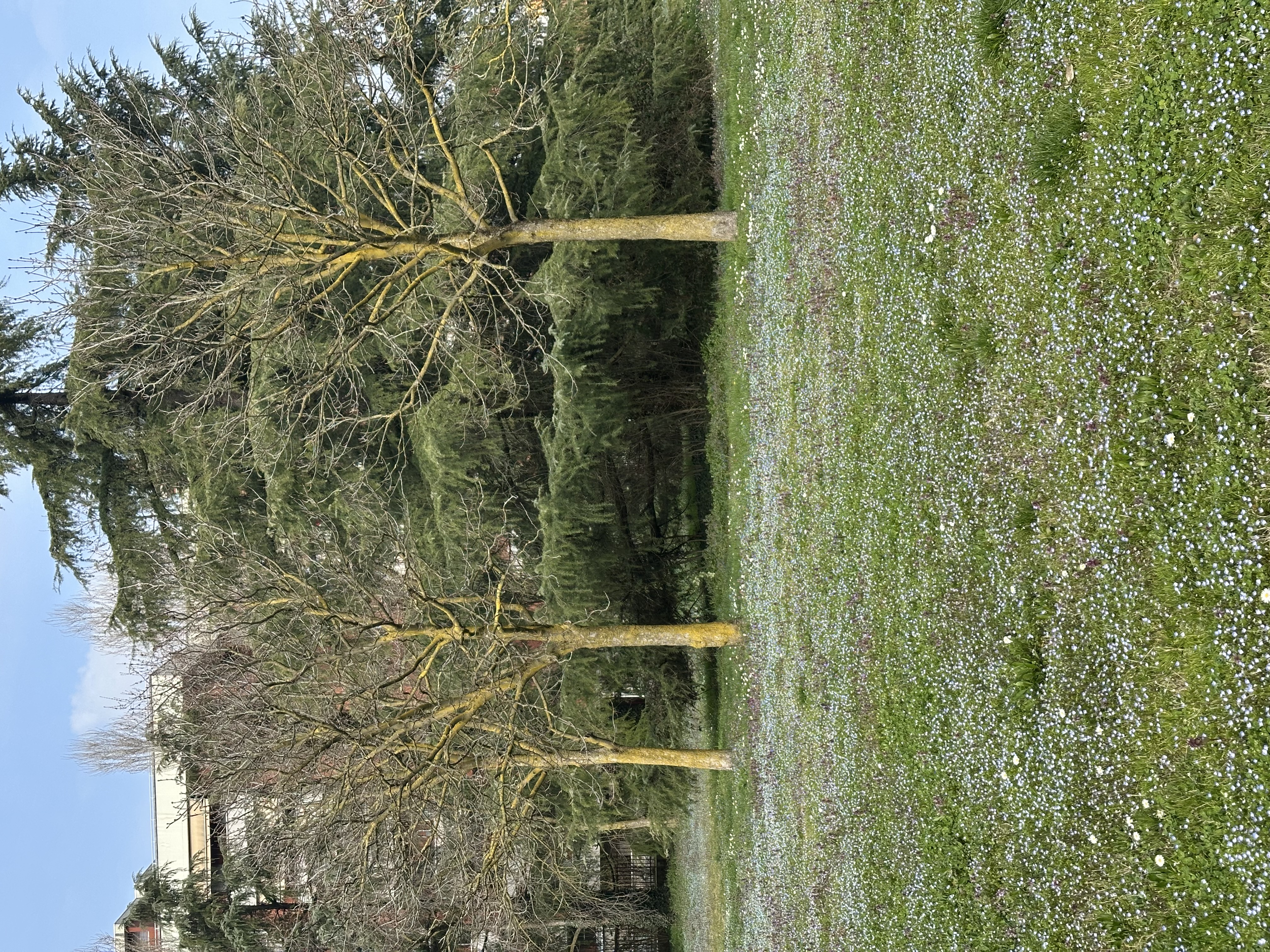 image-19