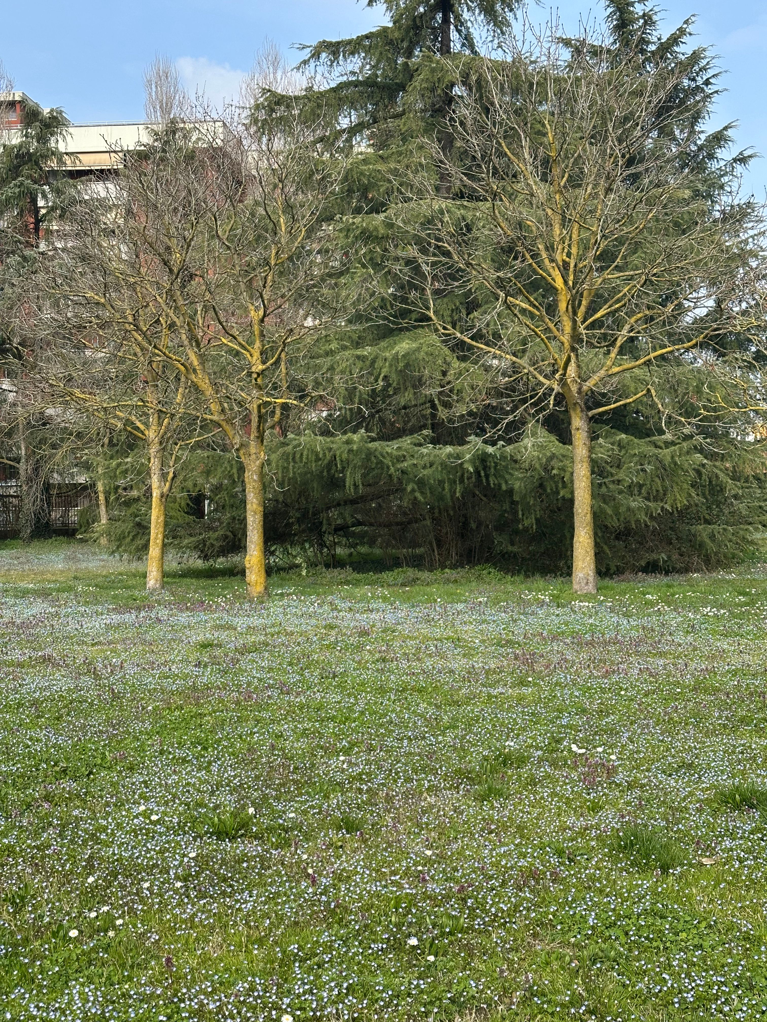 image-19