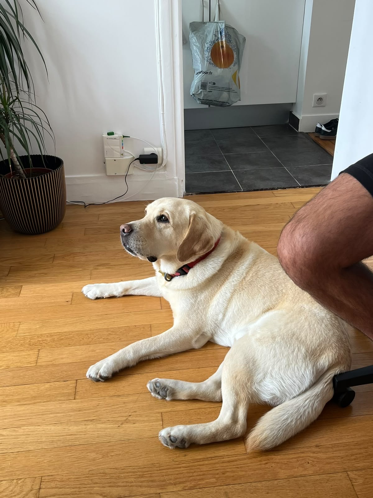 image-10