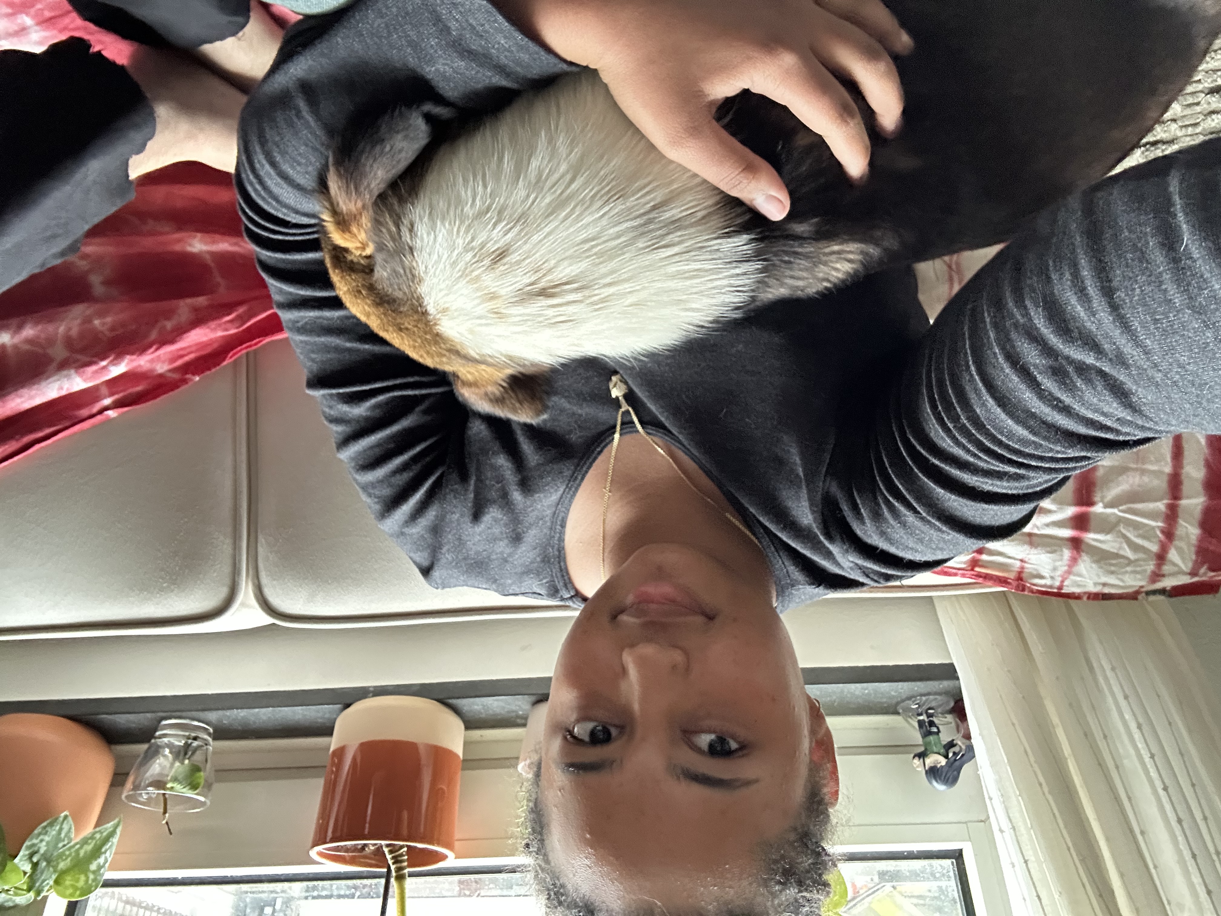 image-4