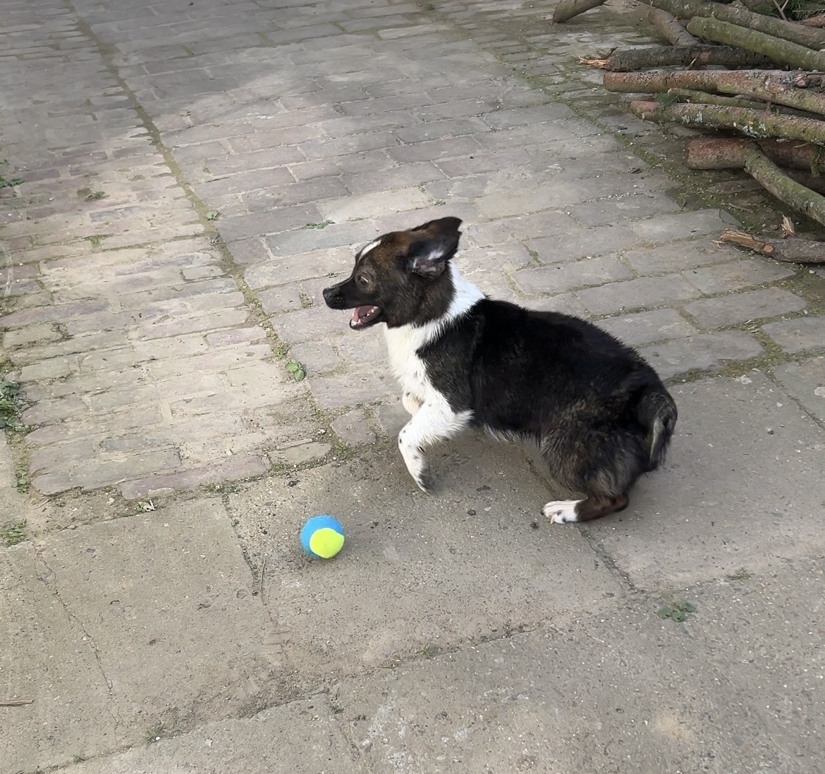image-5