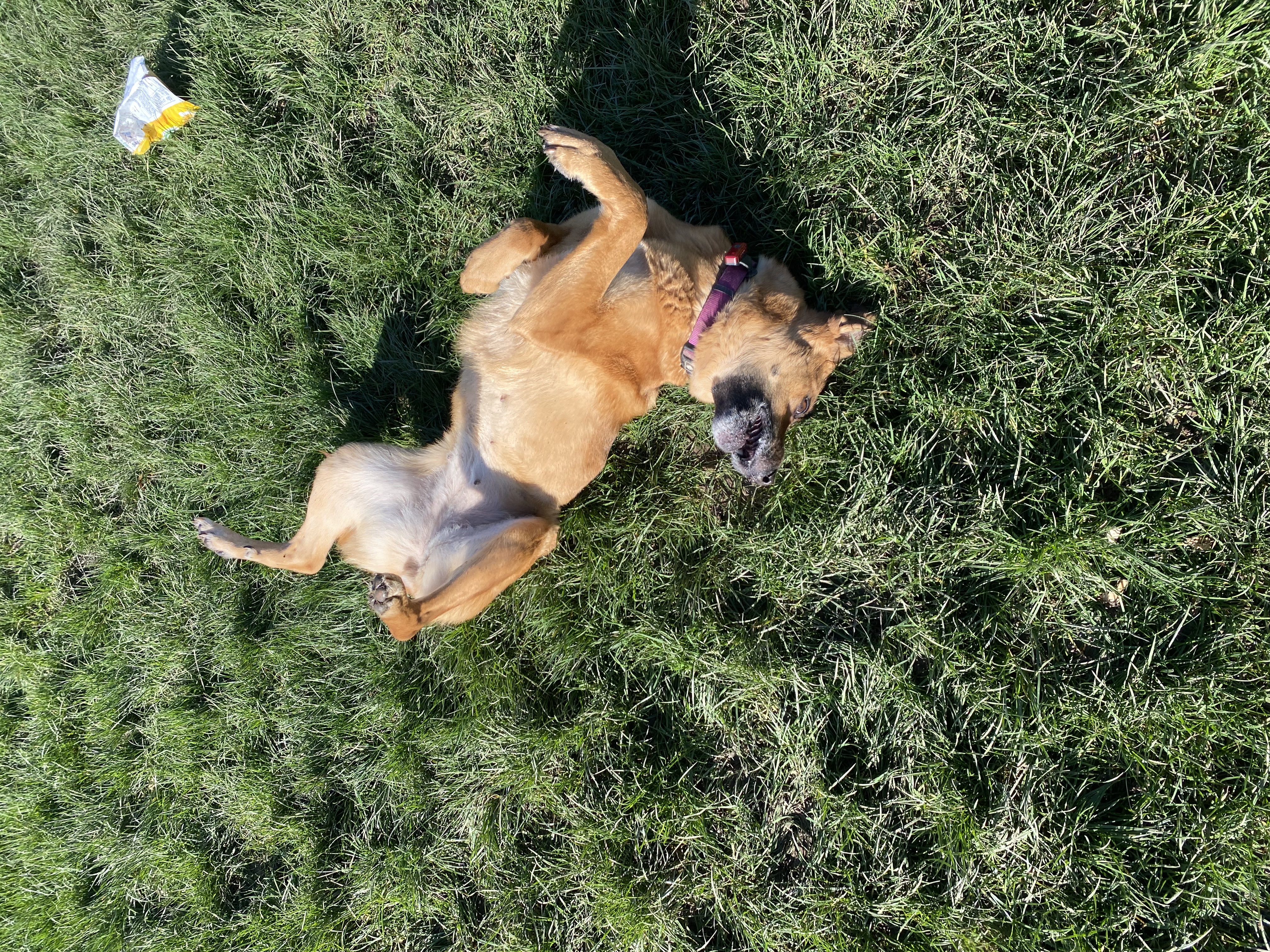 image-7