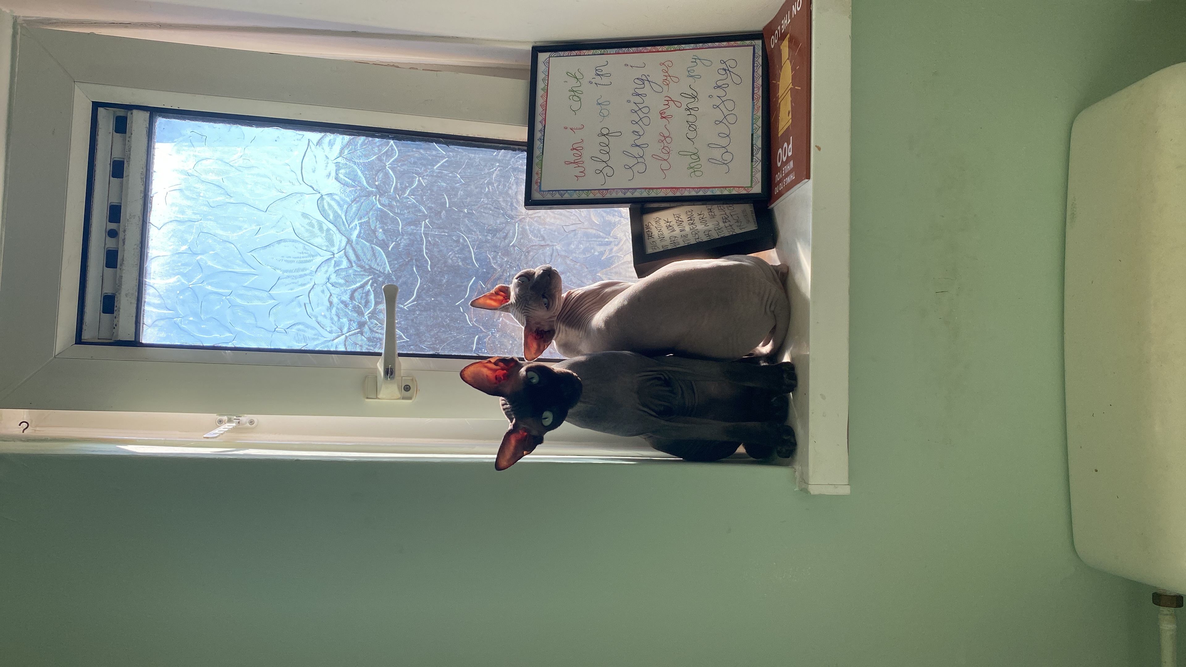 image-3