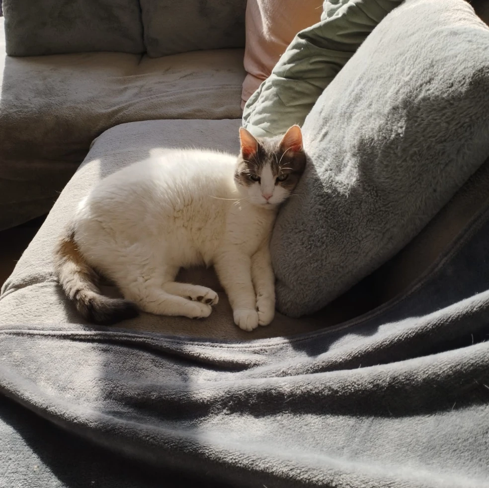 Leo