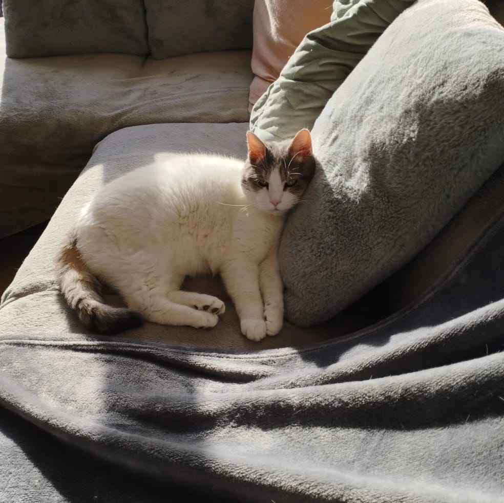 Leo