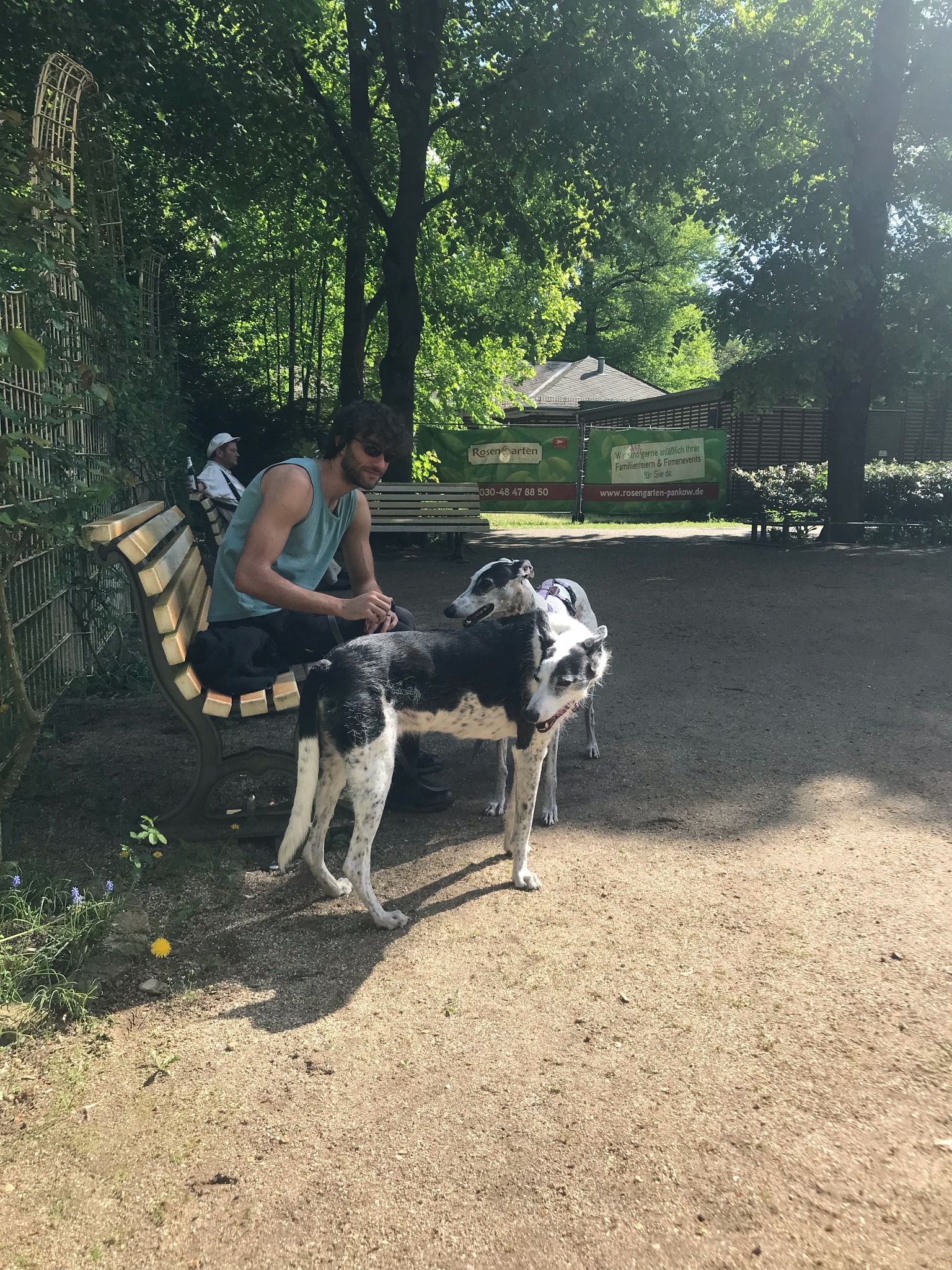 image-8