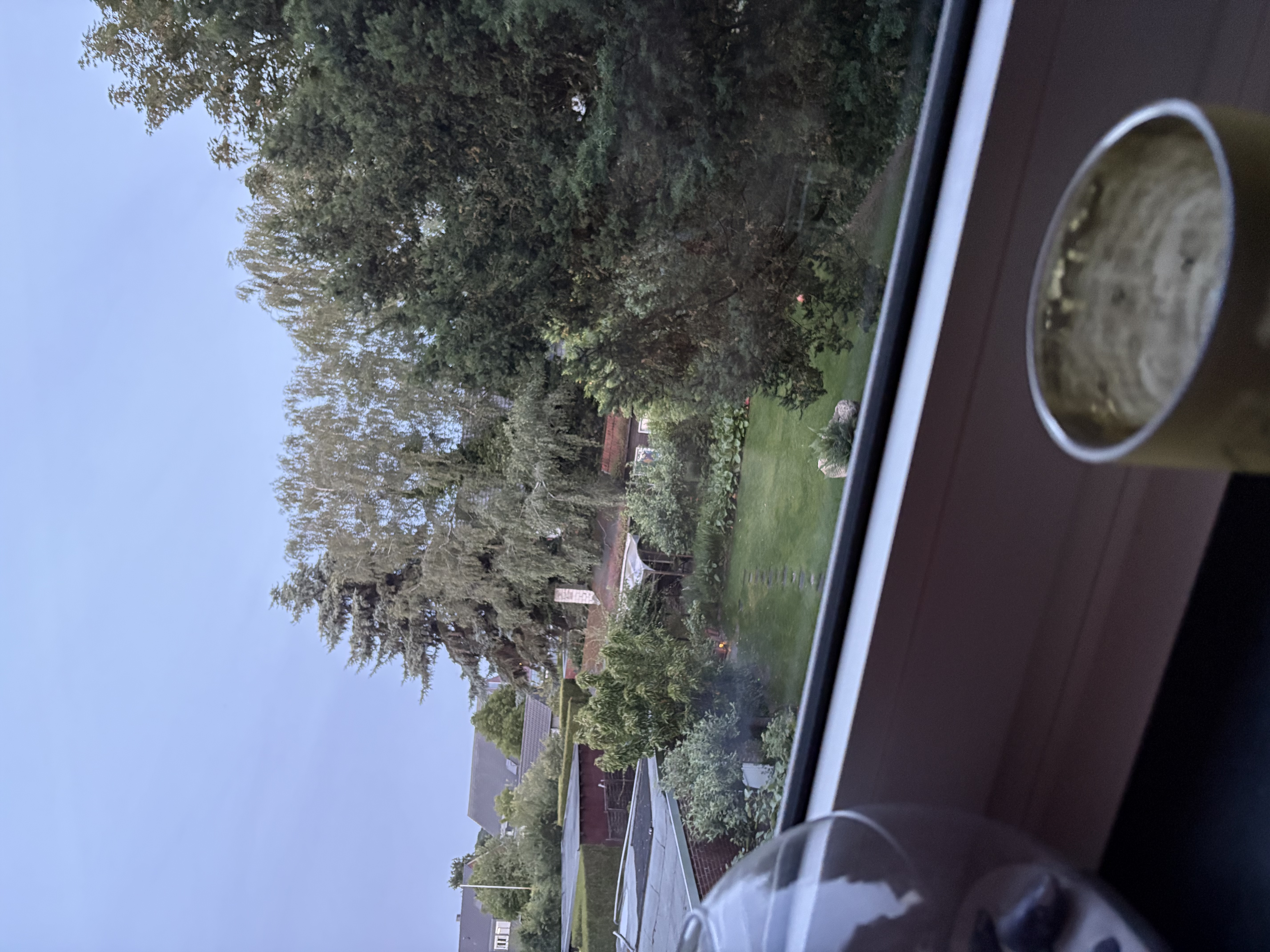 image-19