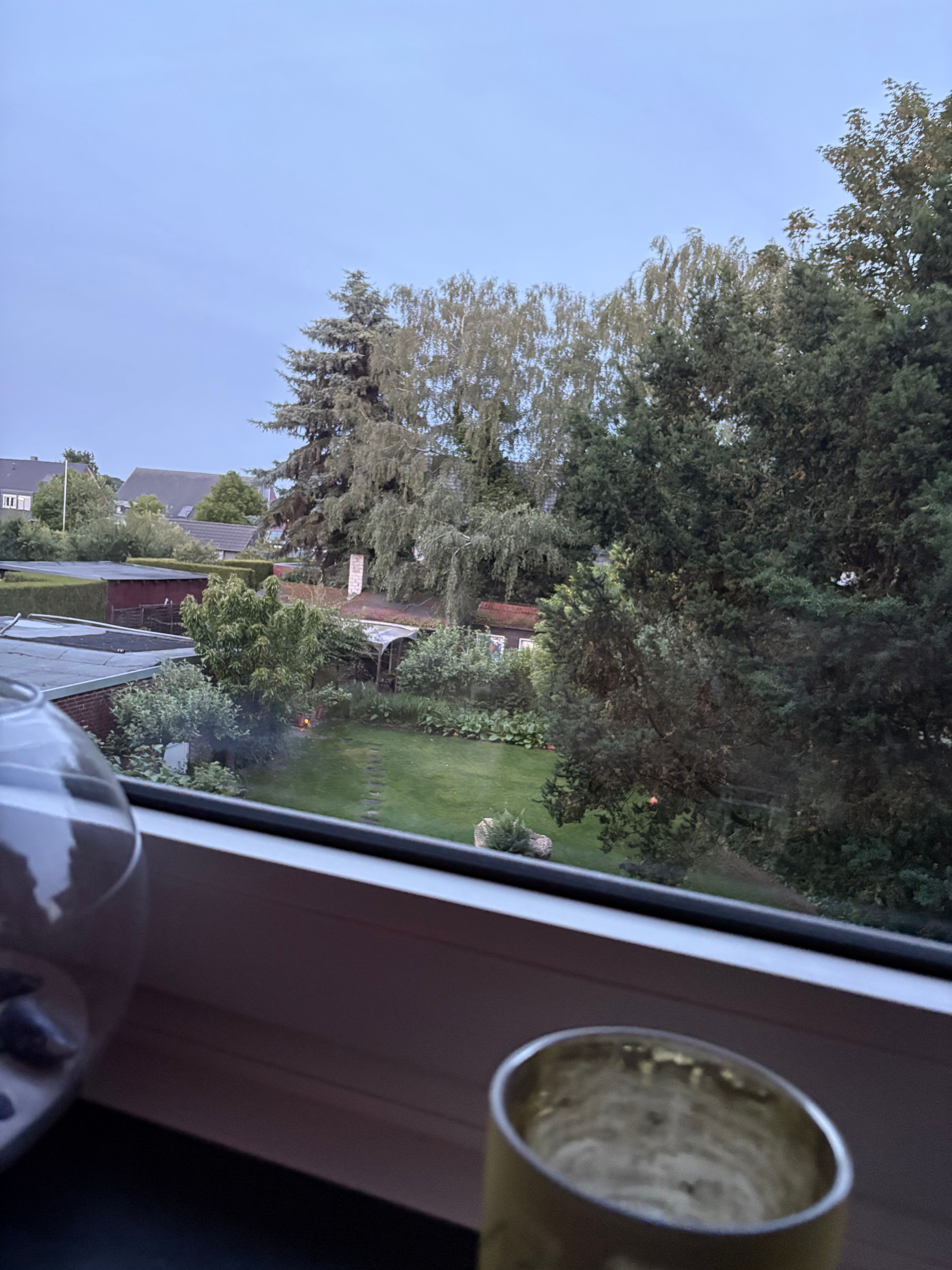 image-19