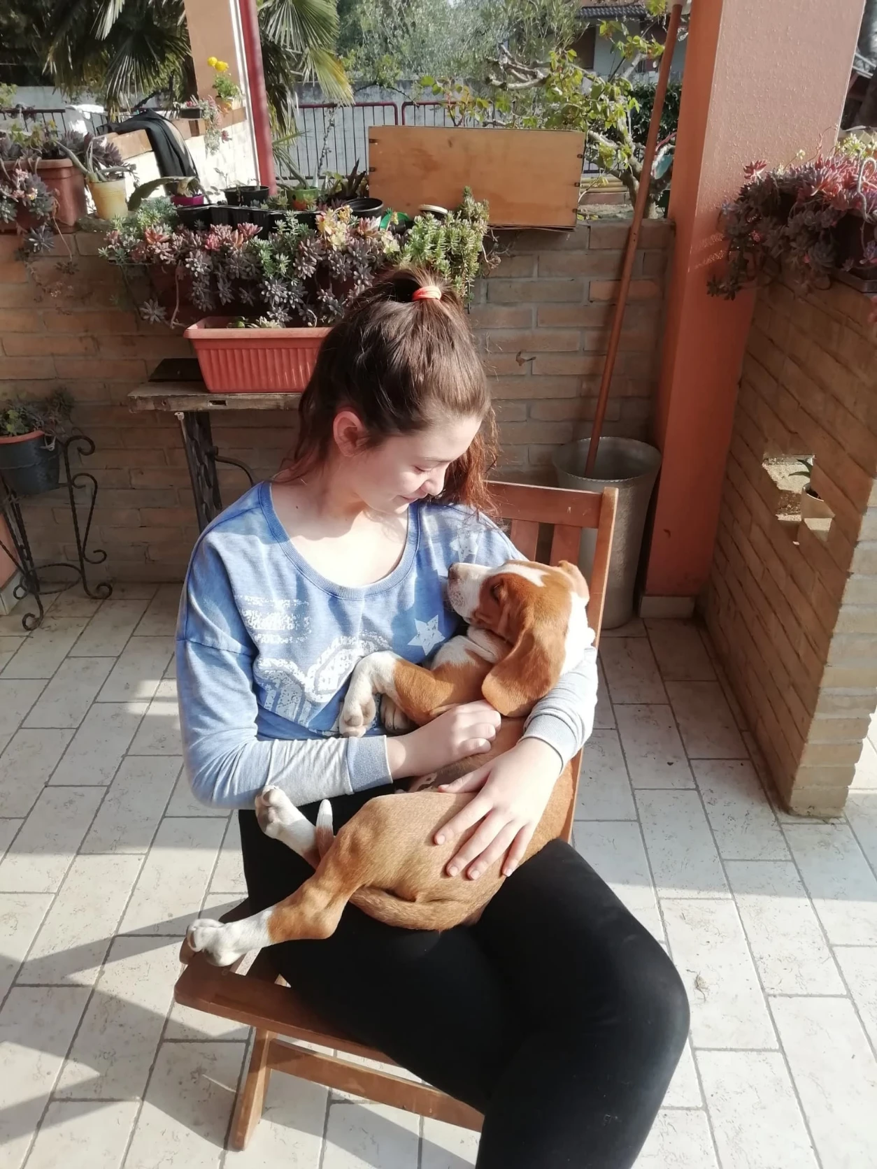 image-6
