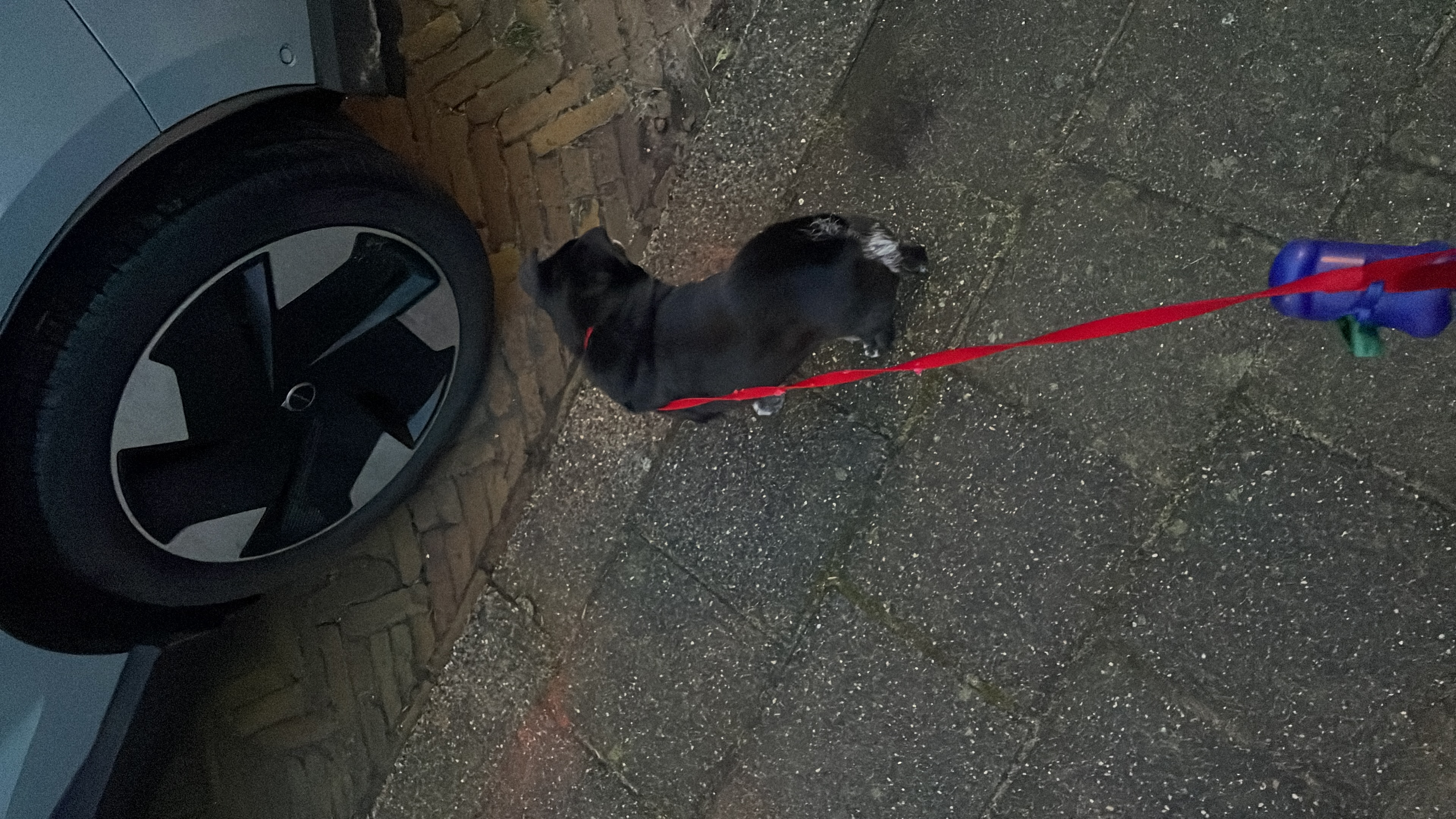 image-9