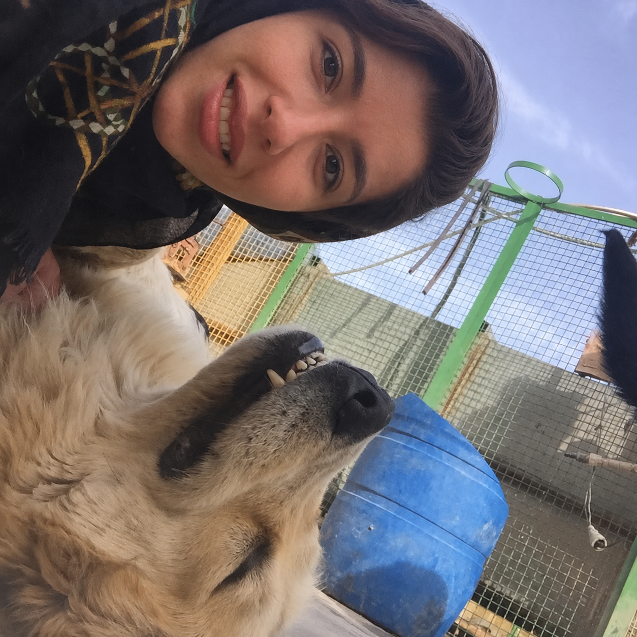 image-6