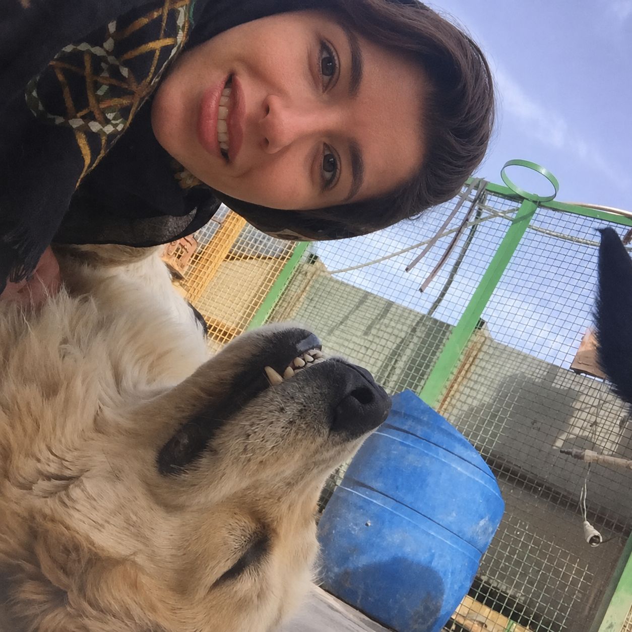 image-6