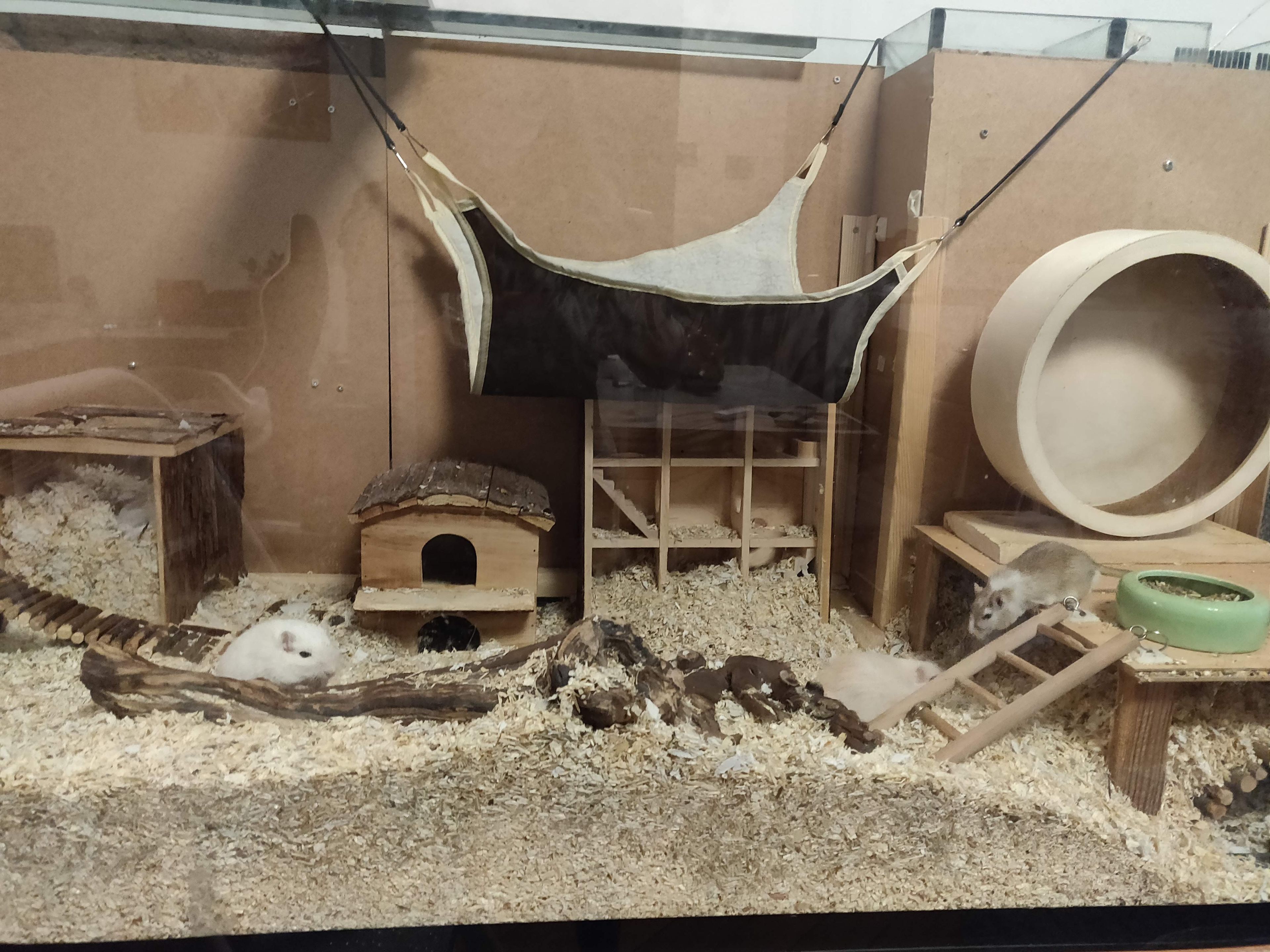 image-4