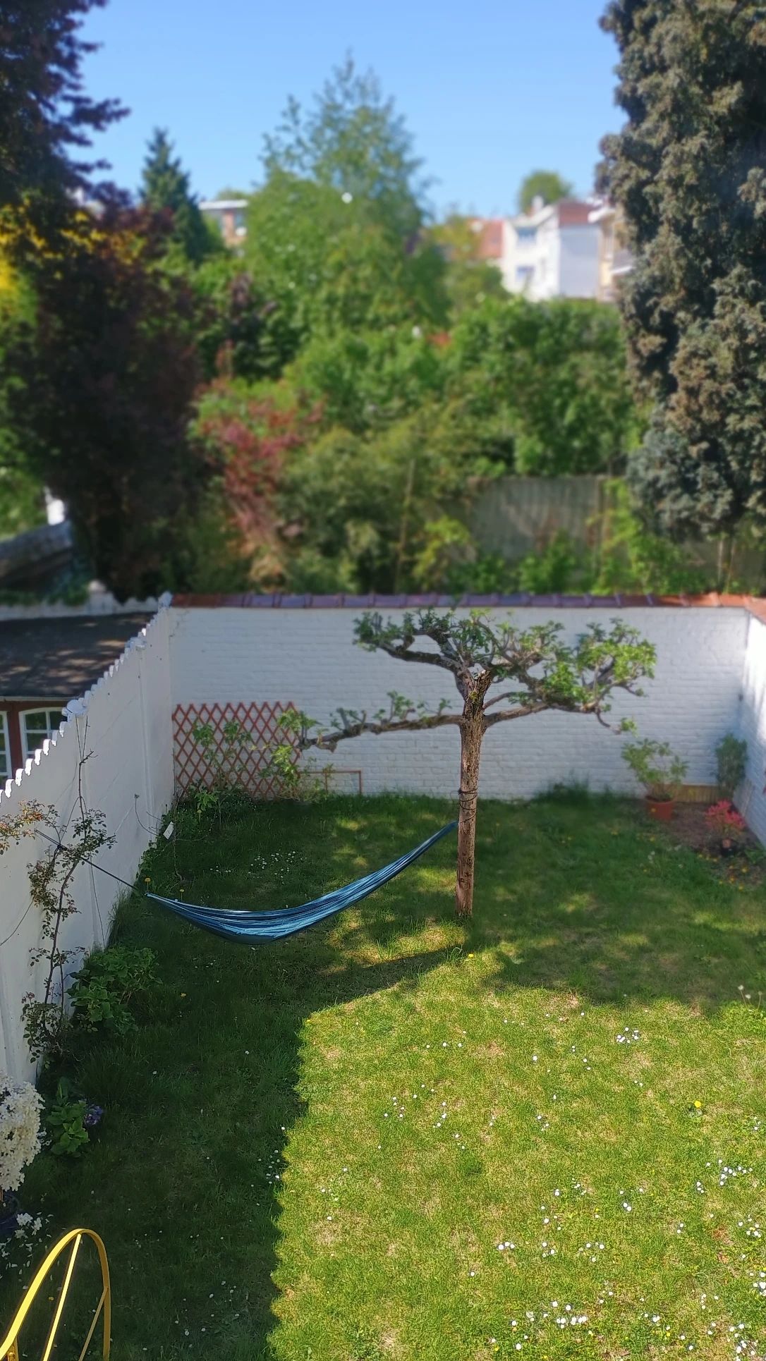 image-7