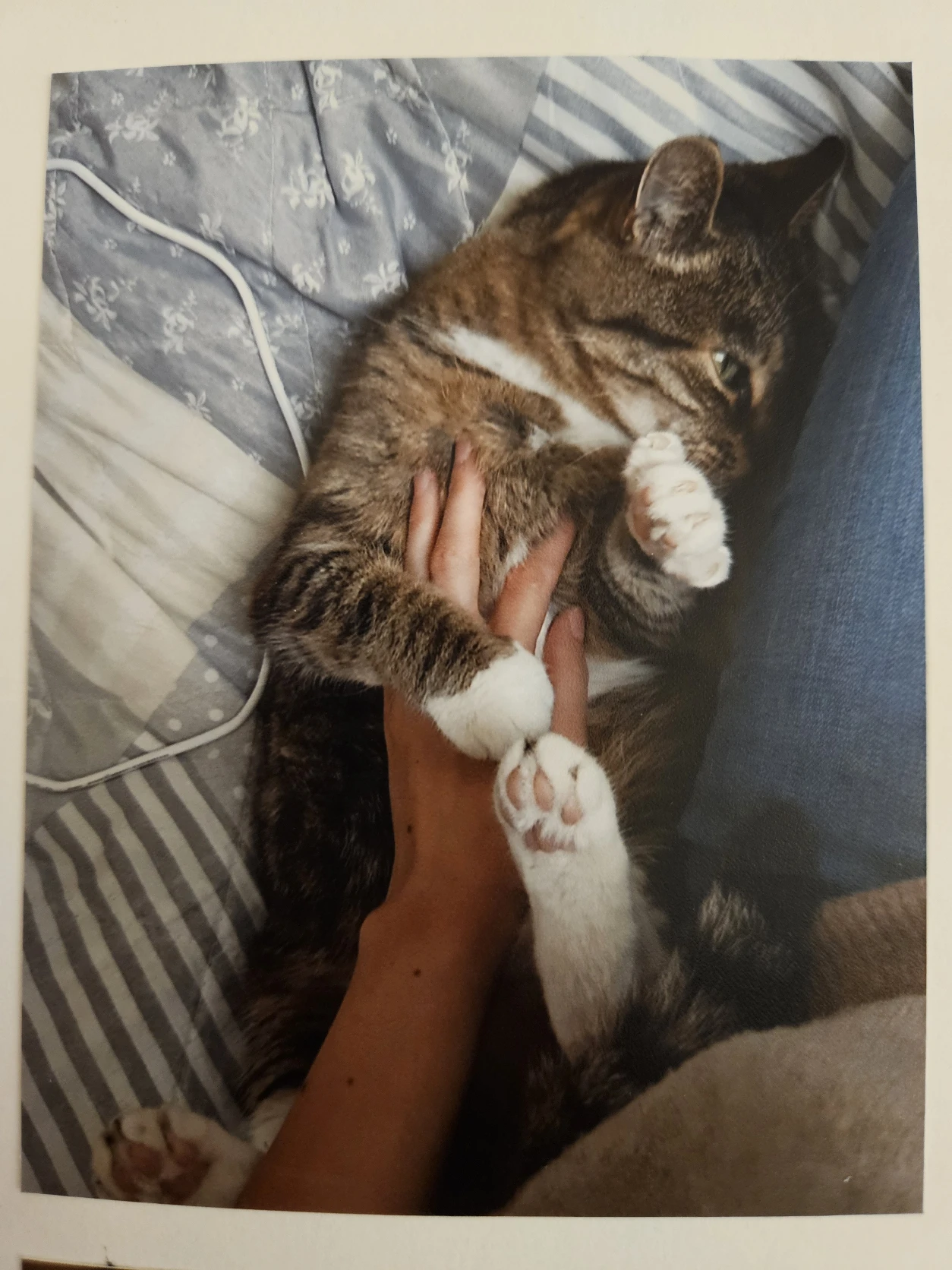 image-8