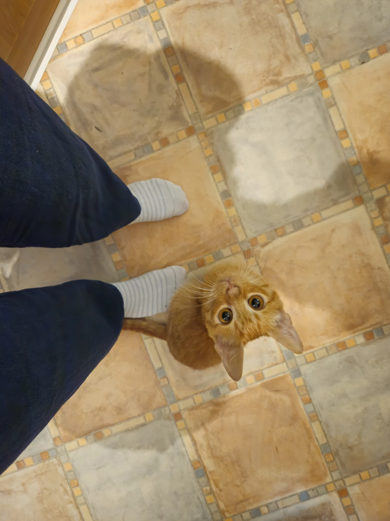 image-10