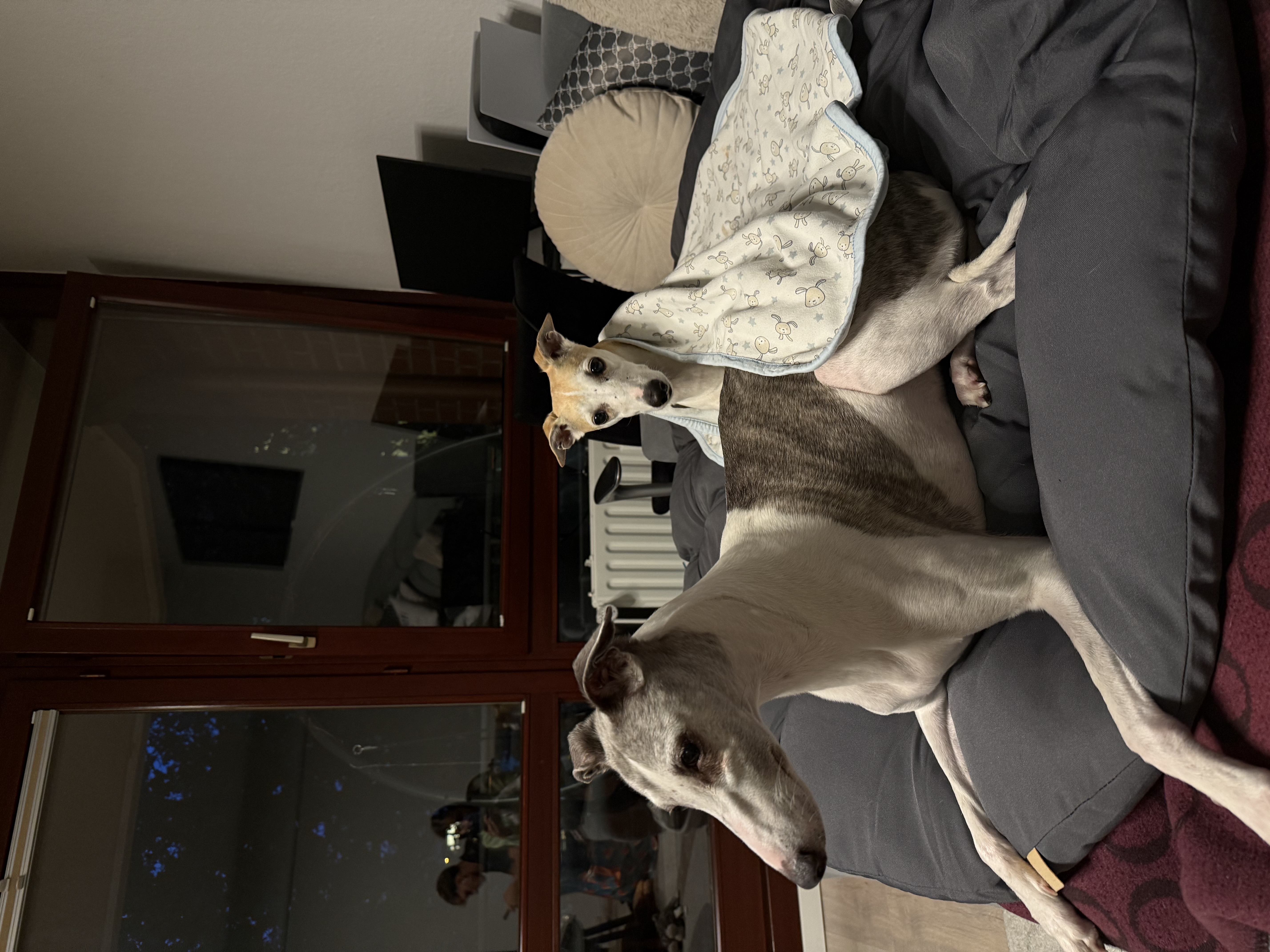 image-10