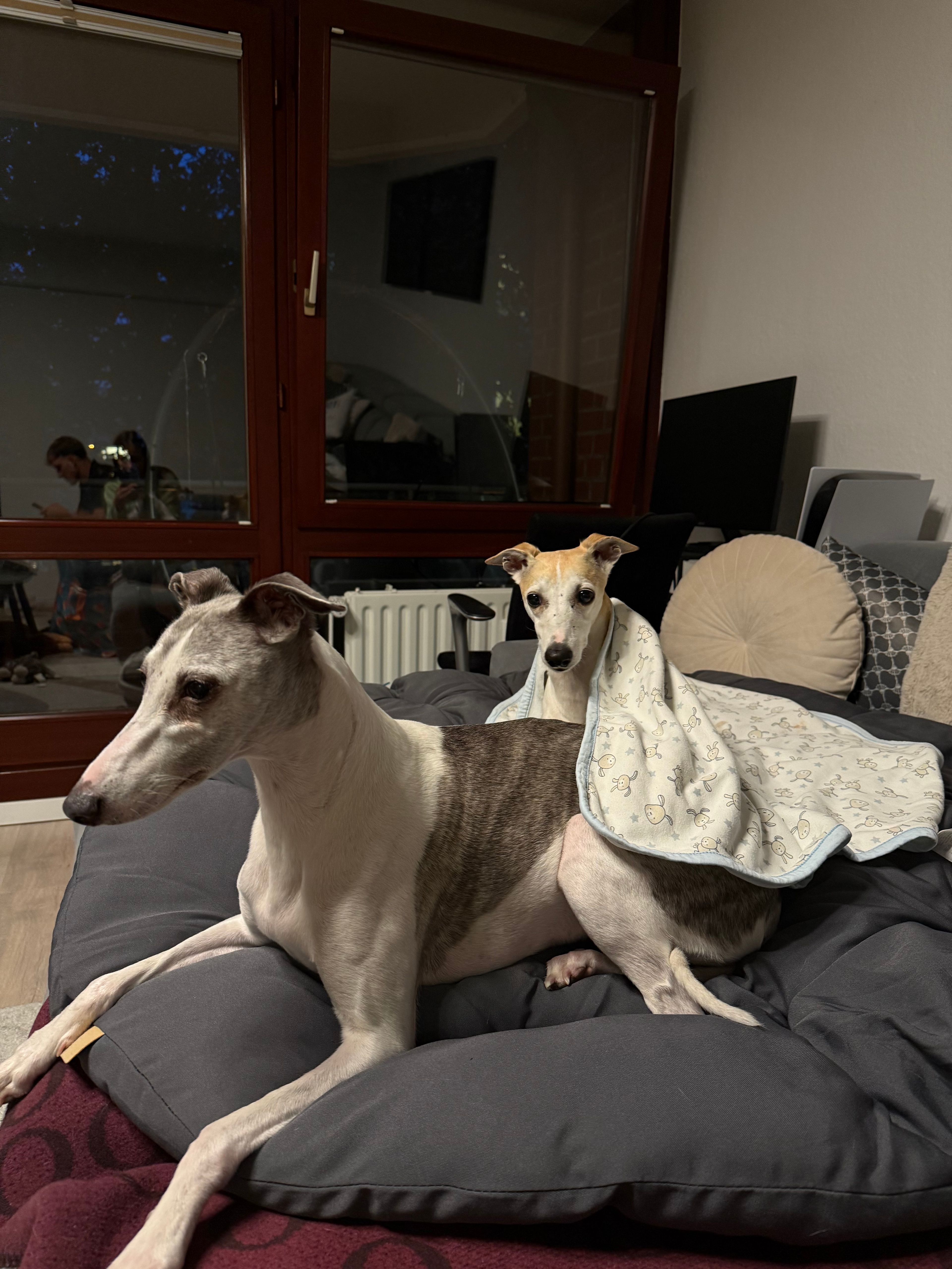 image-10