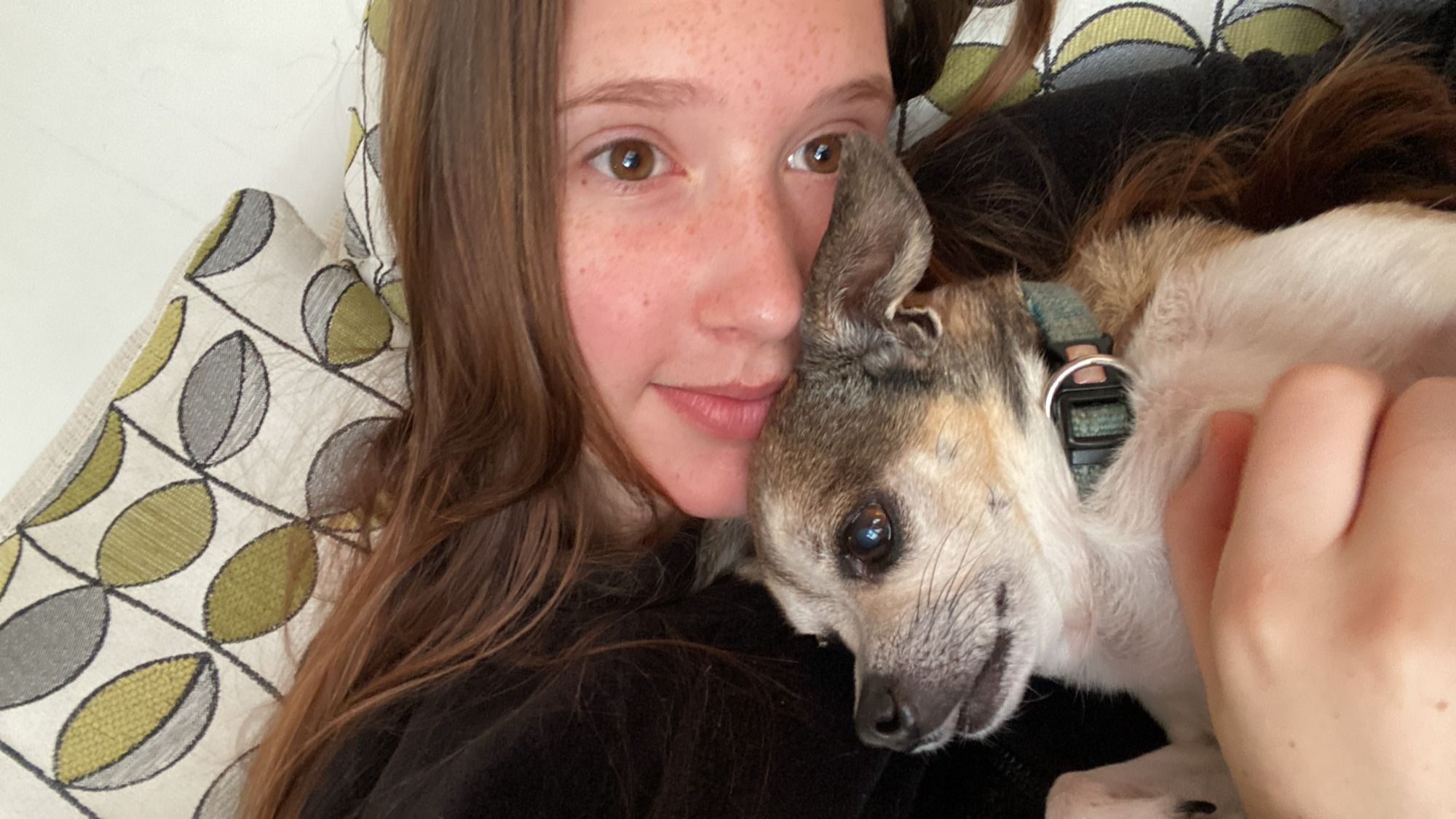 image-6