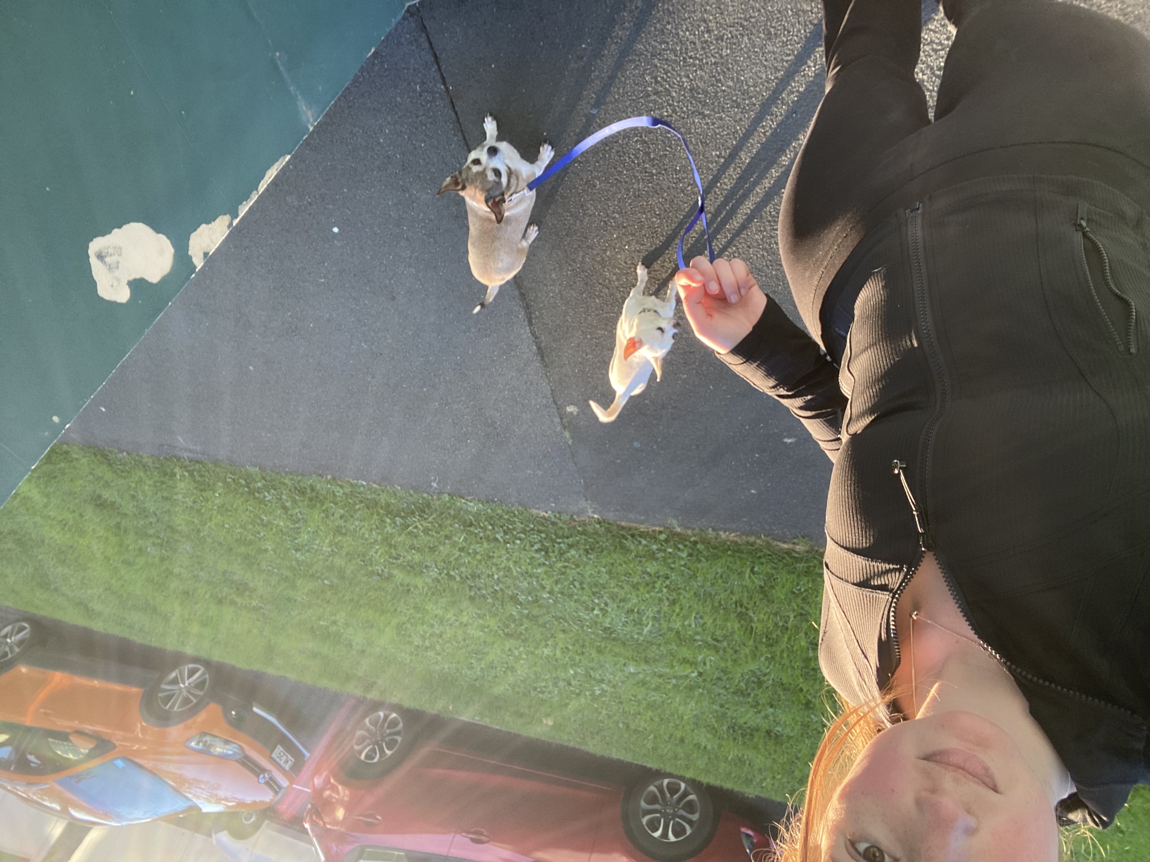 image-7