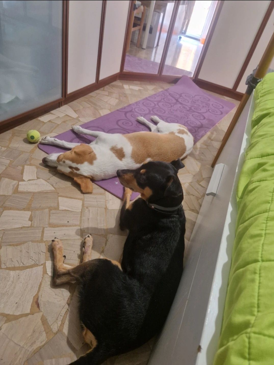 image-12