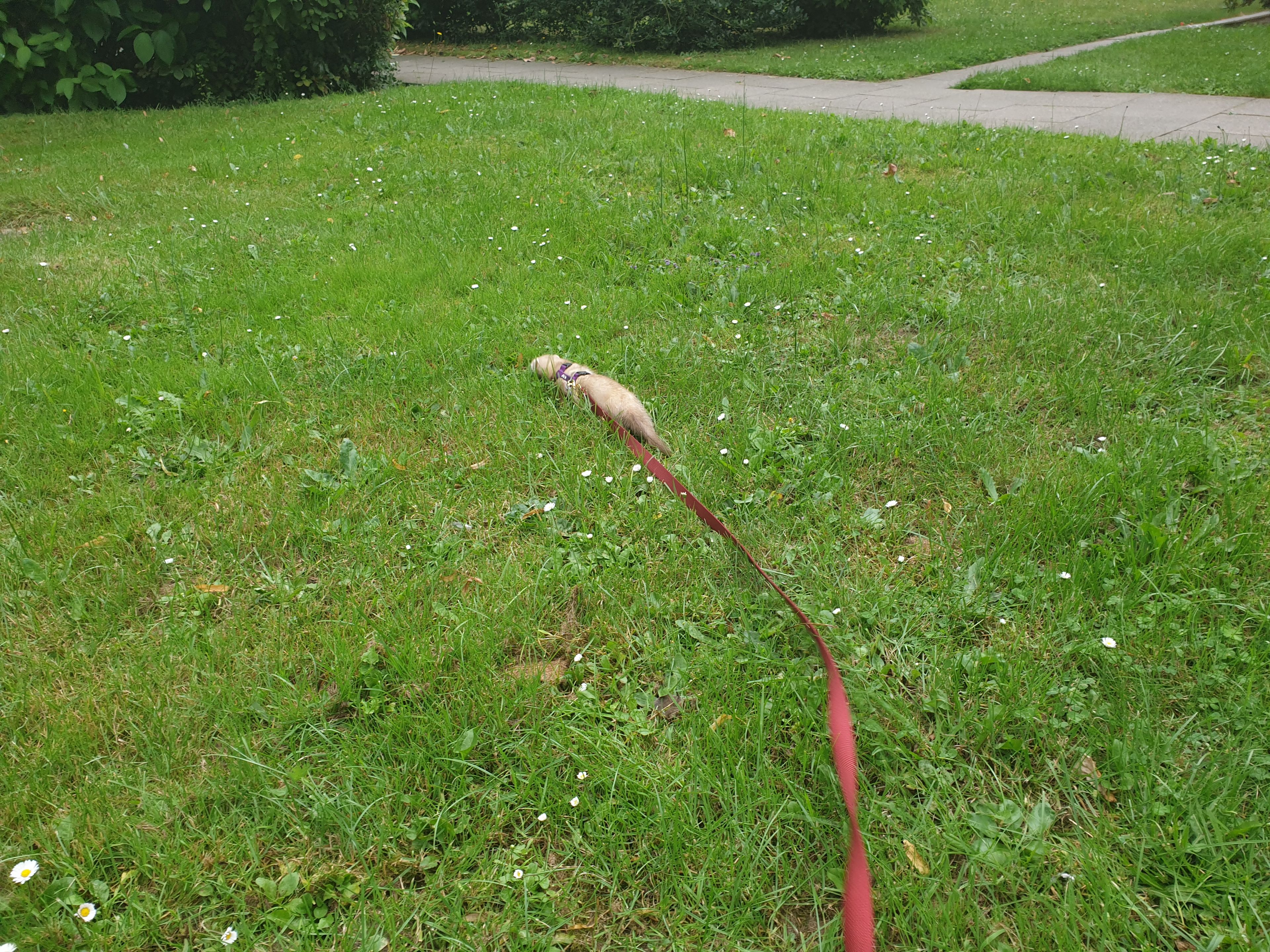 image-5