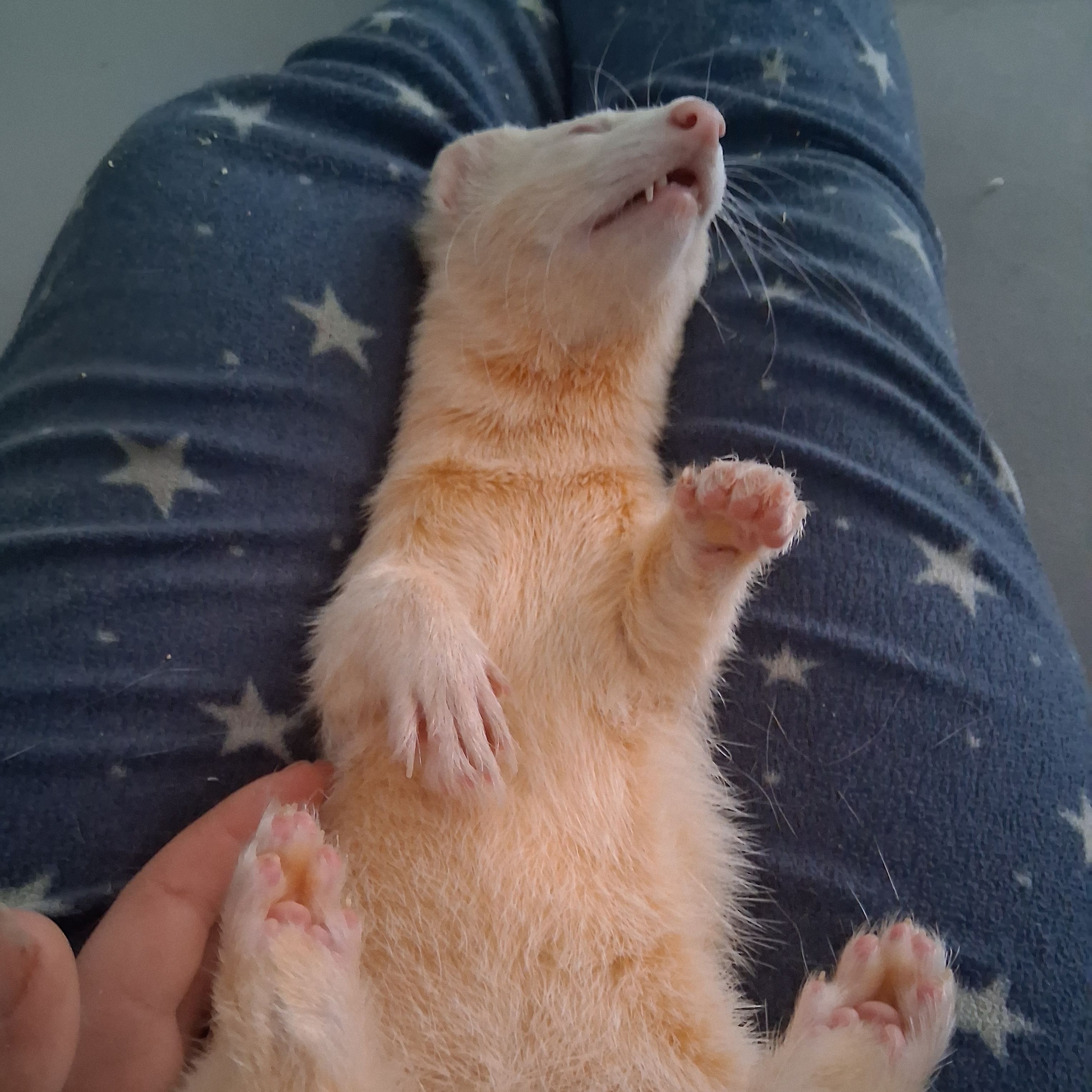 Mika
