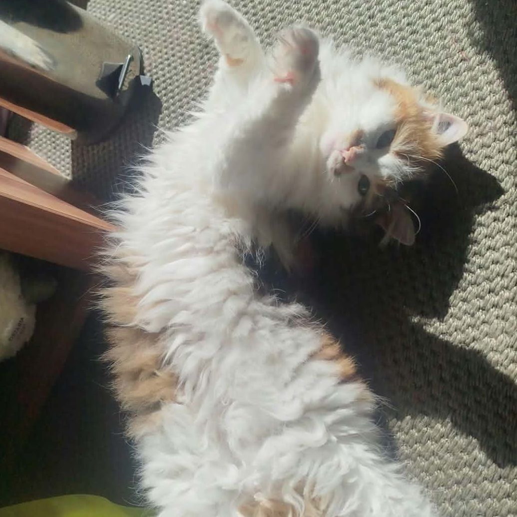 Queenie