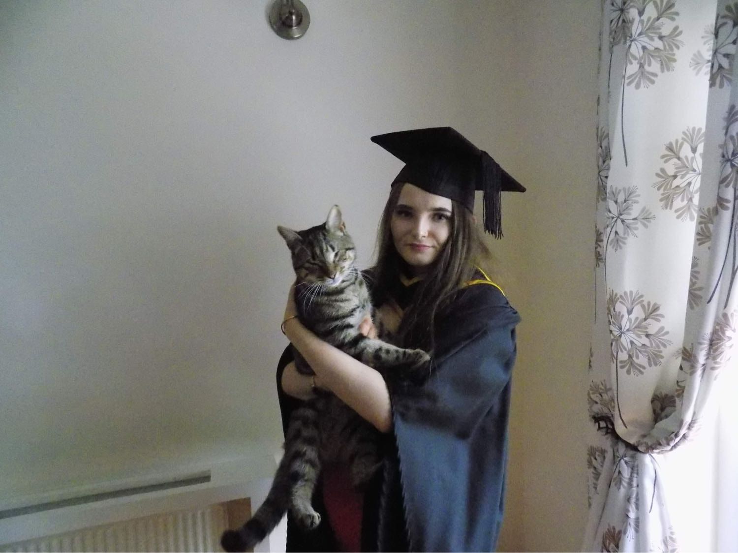 image-2