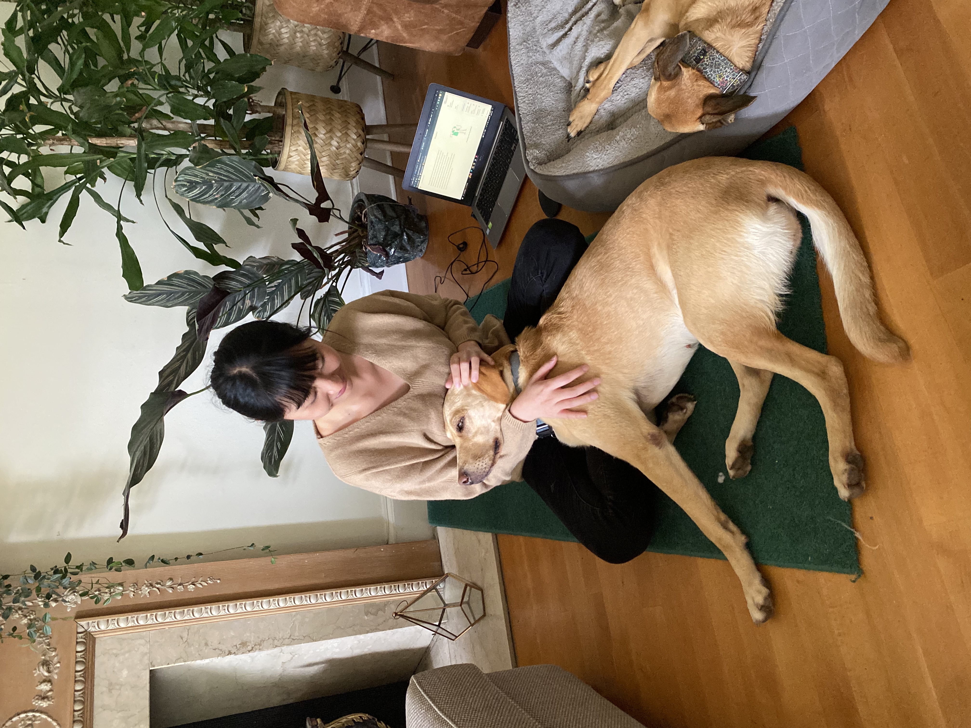 image-3