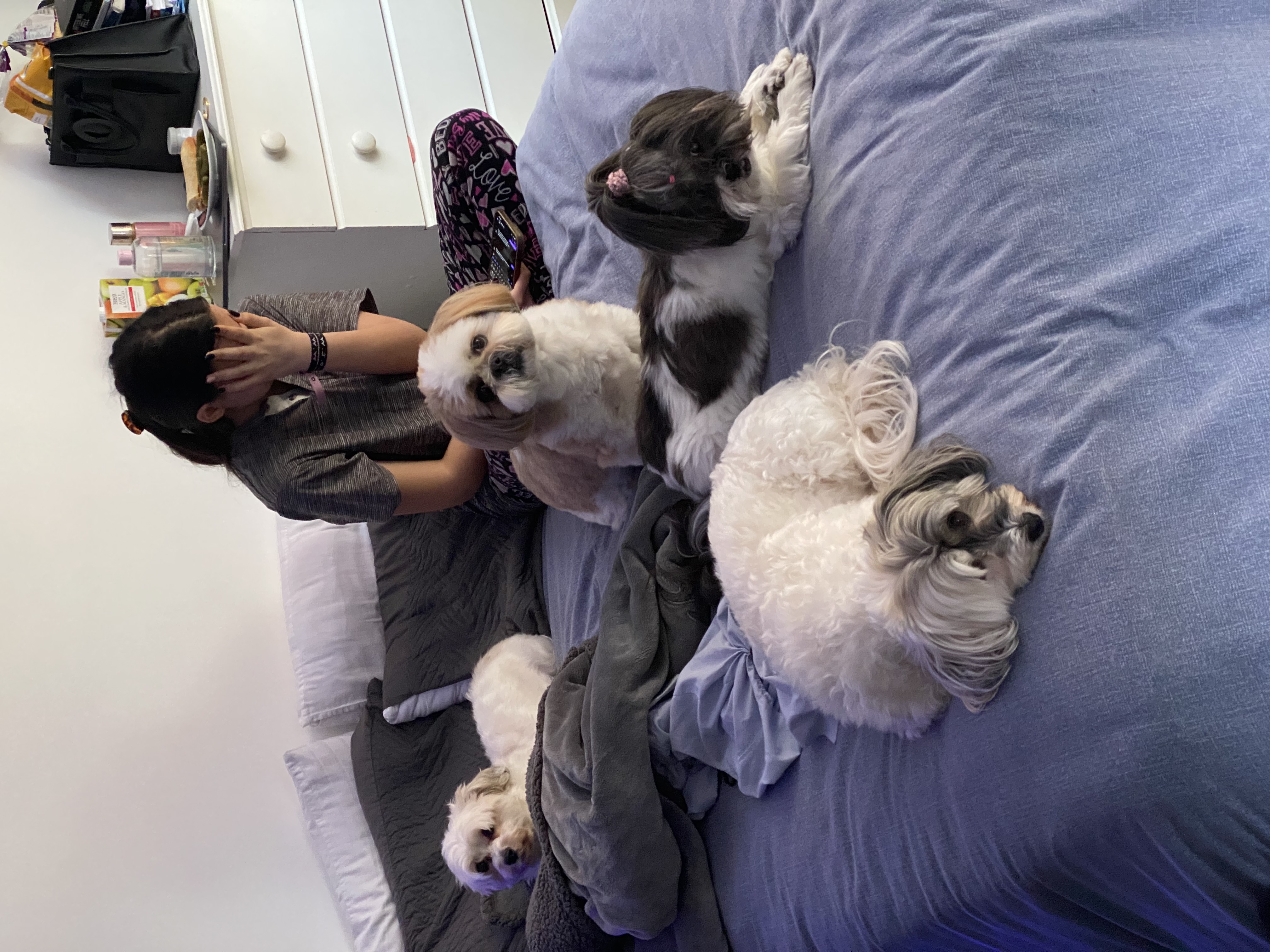image-2