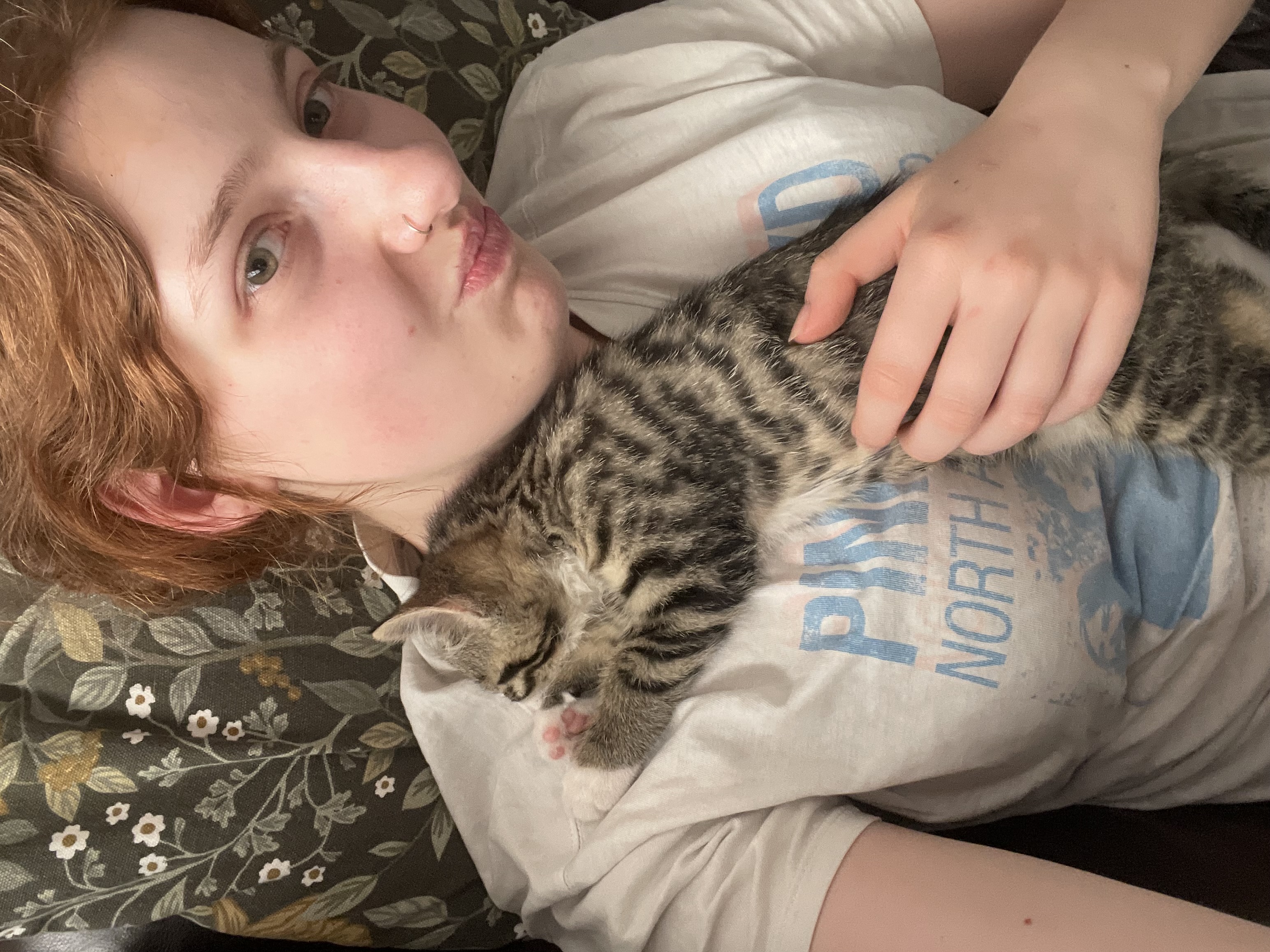 image-7