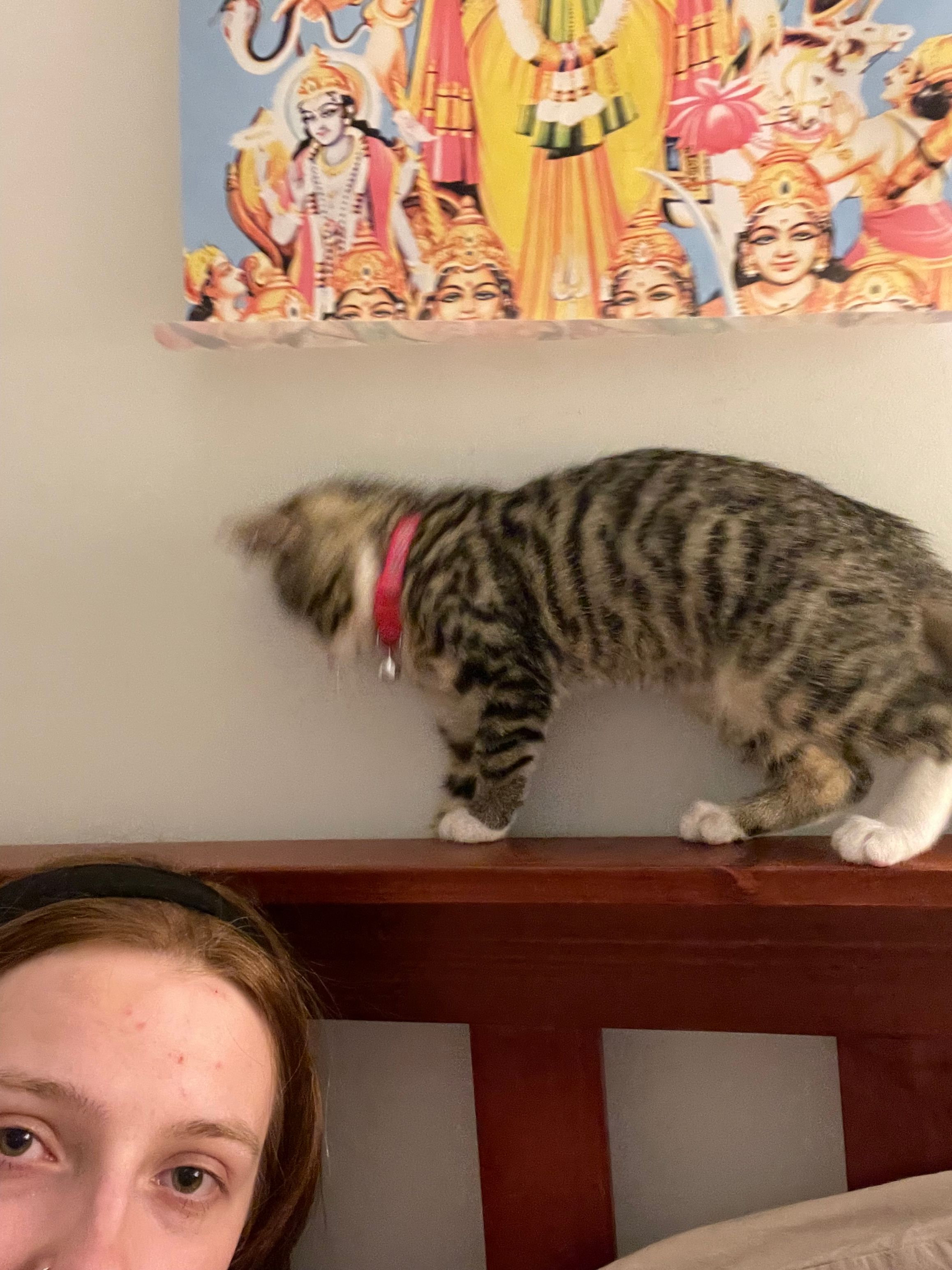 image-10