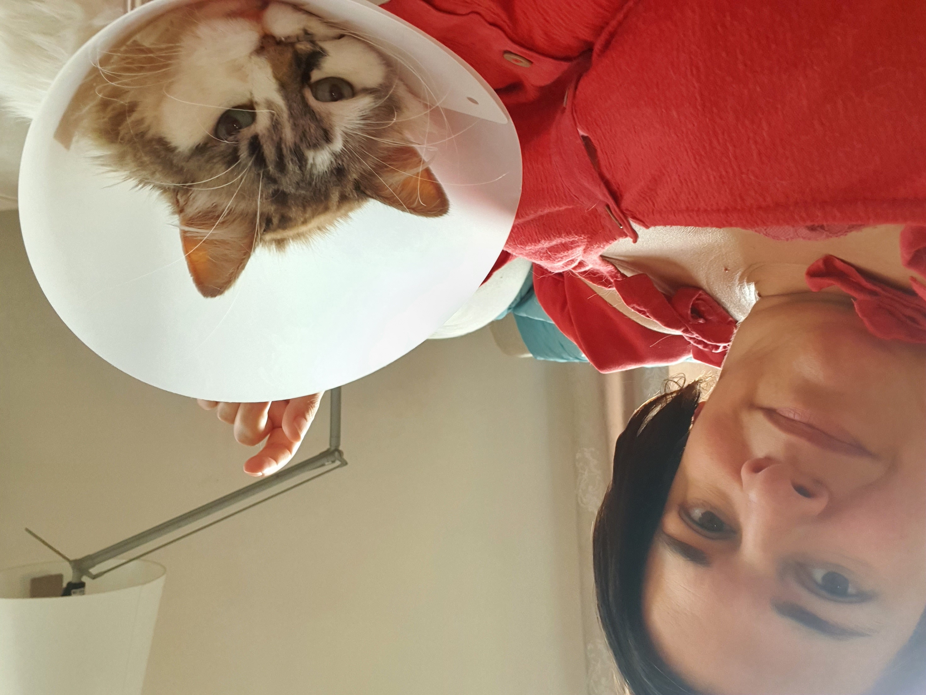 image-6