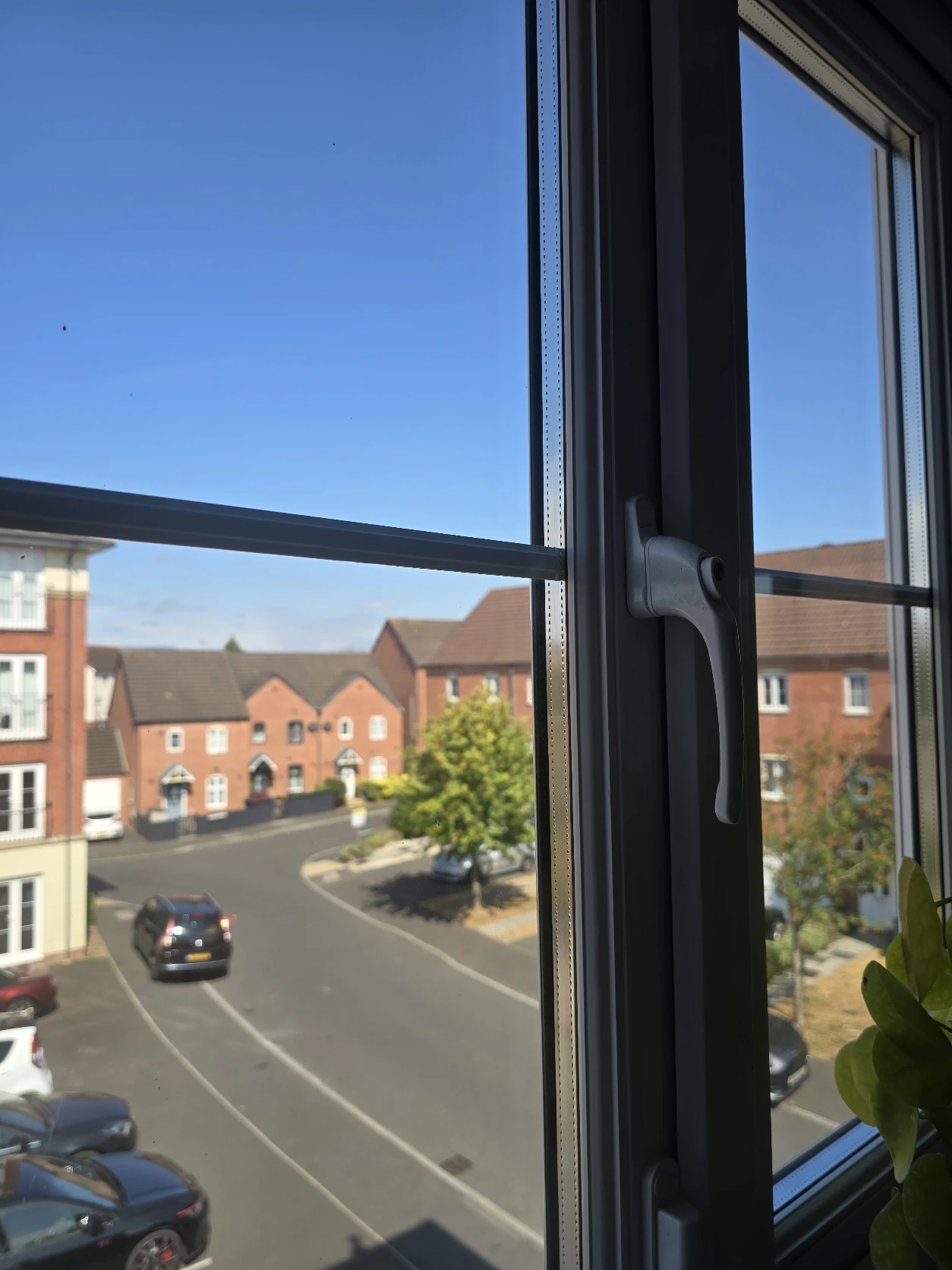 image-42