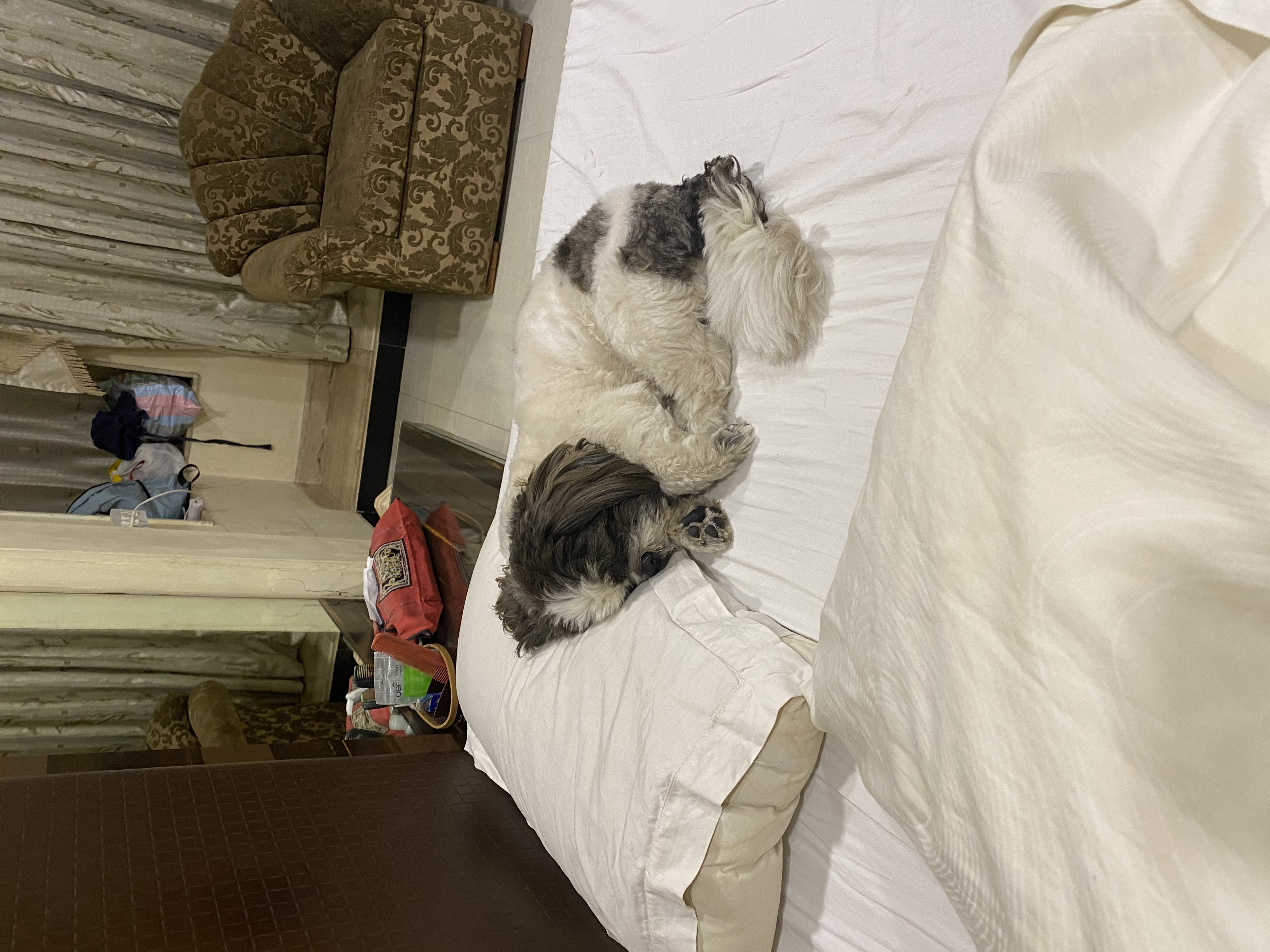 image-8