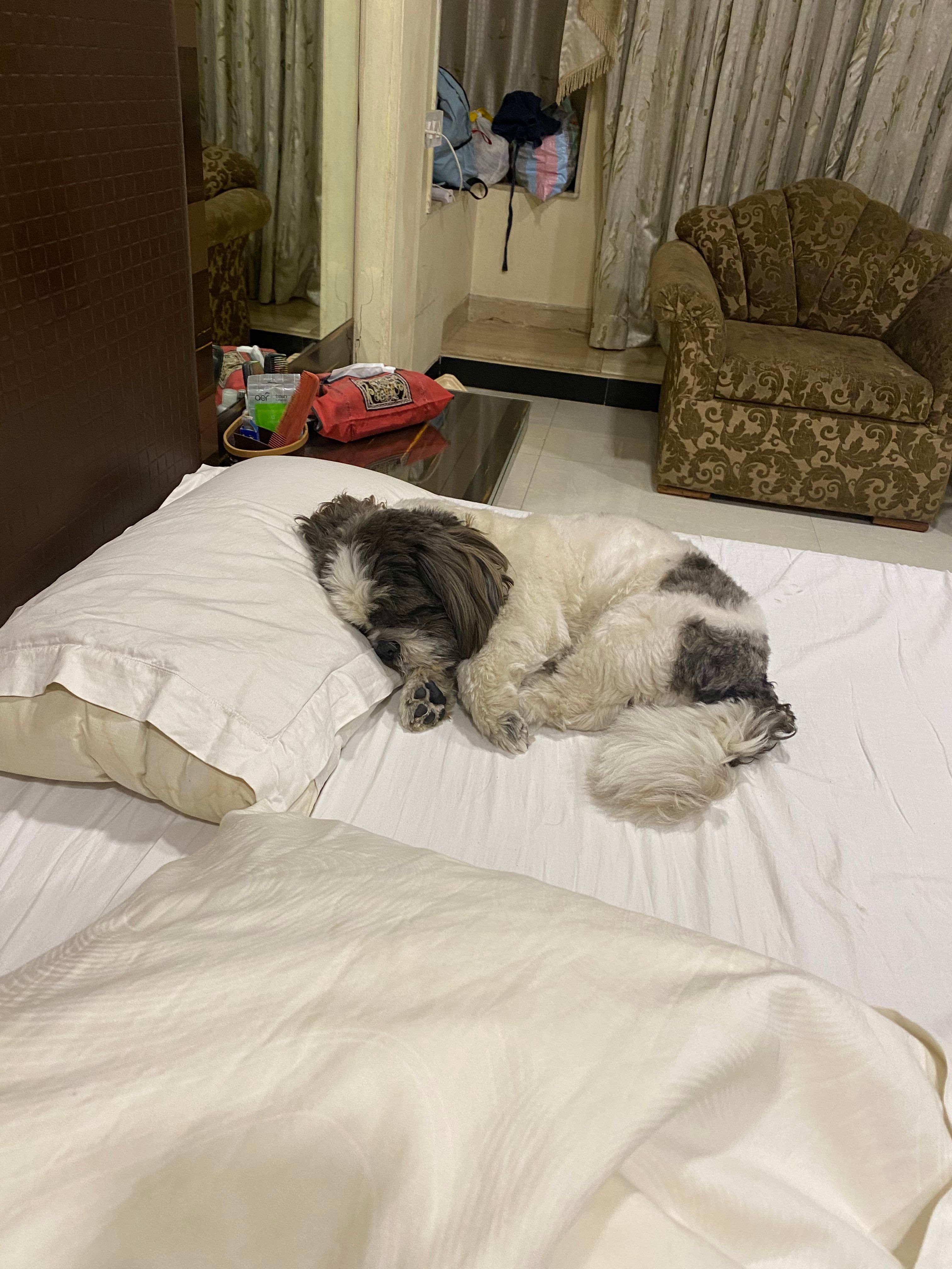 image-8